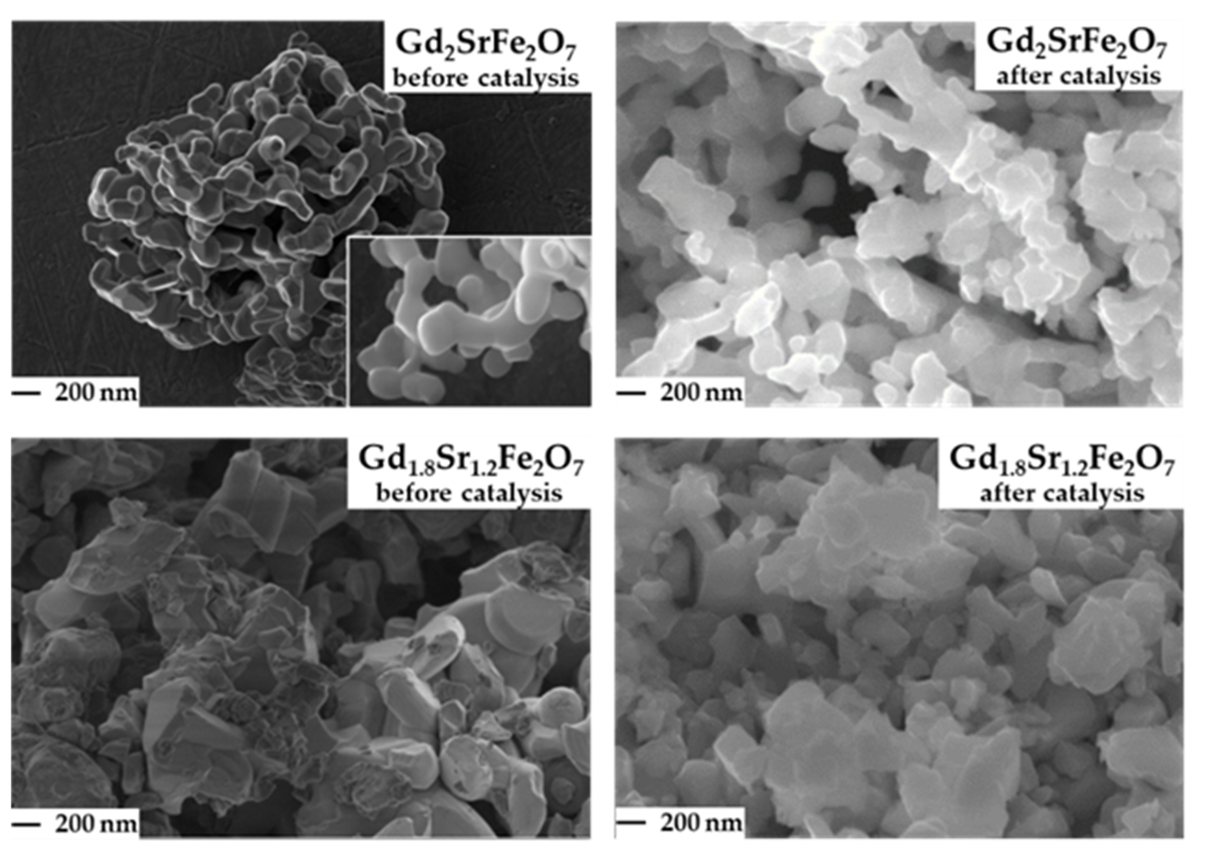 Catalysts 13 01256 g002