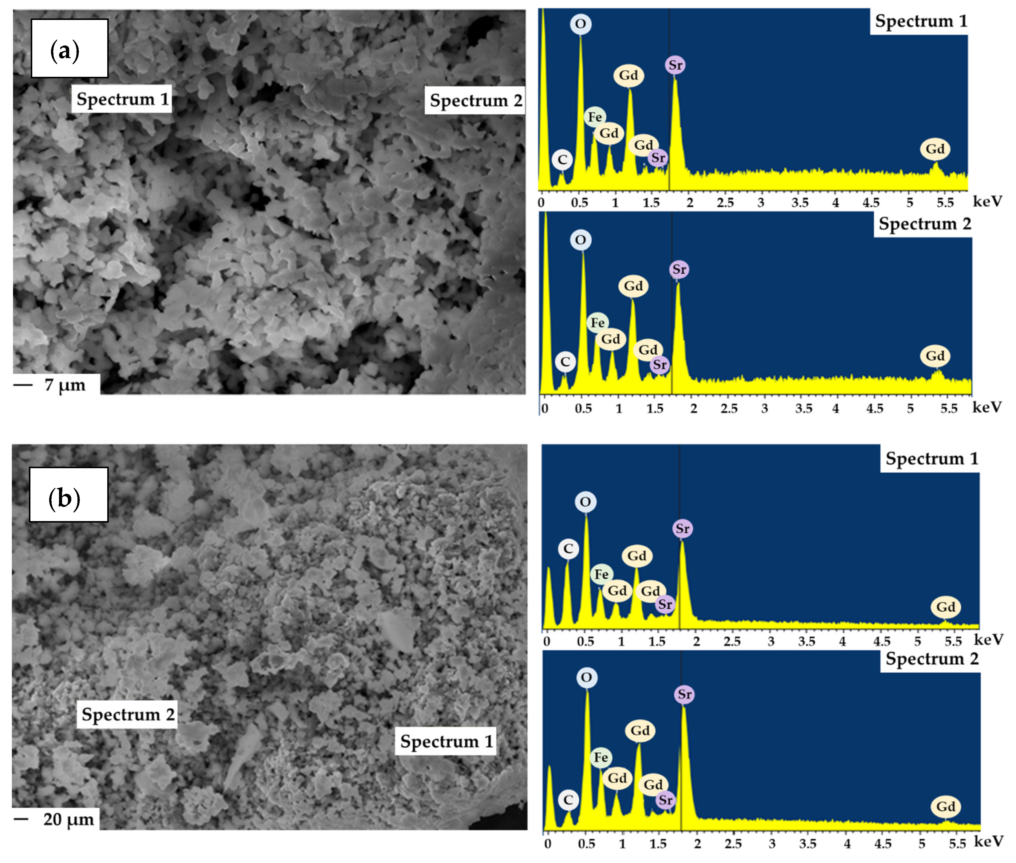 Catalysts 13 01256 g003