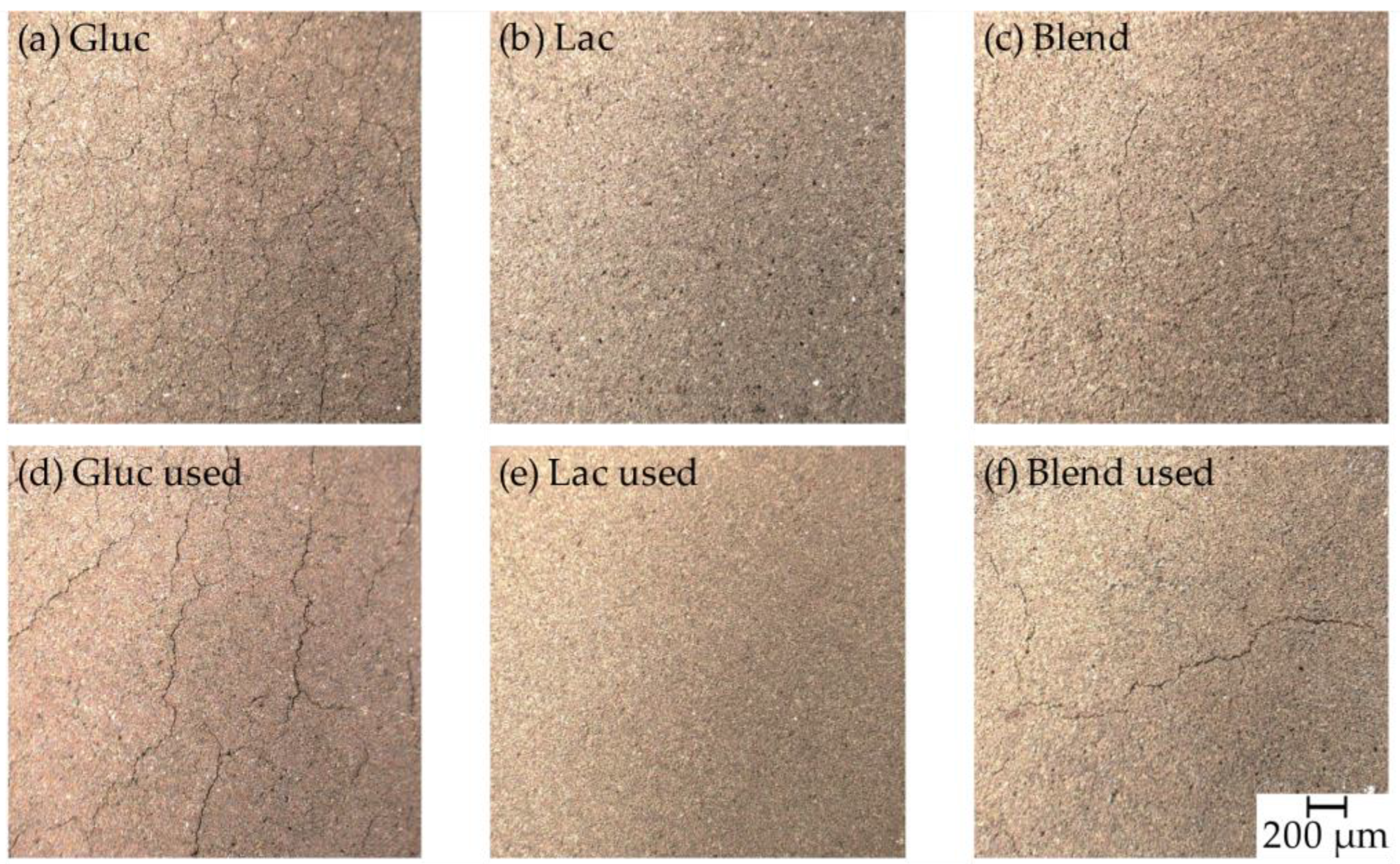 Catalysts 13 01266 g002