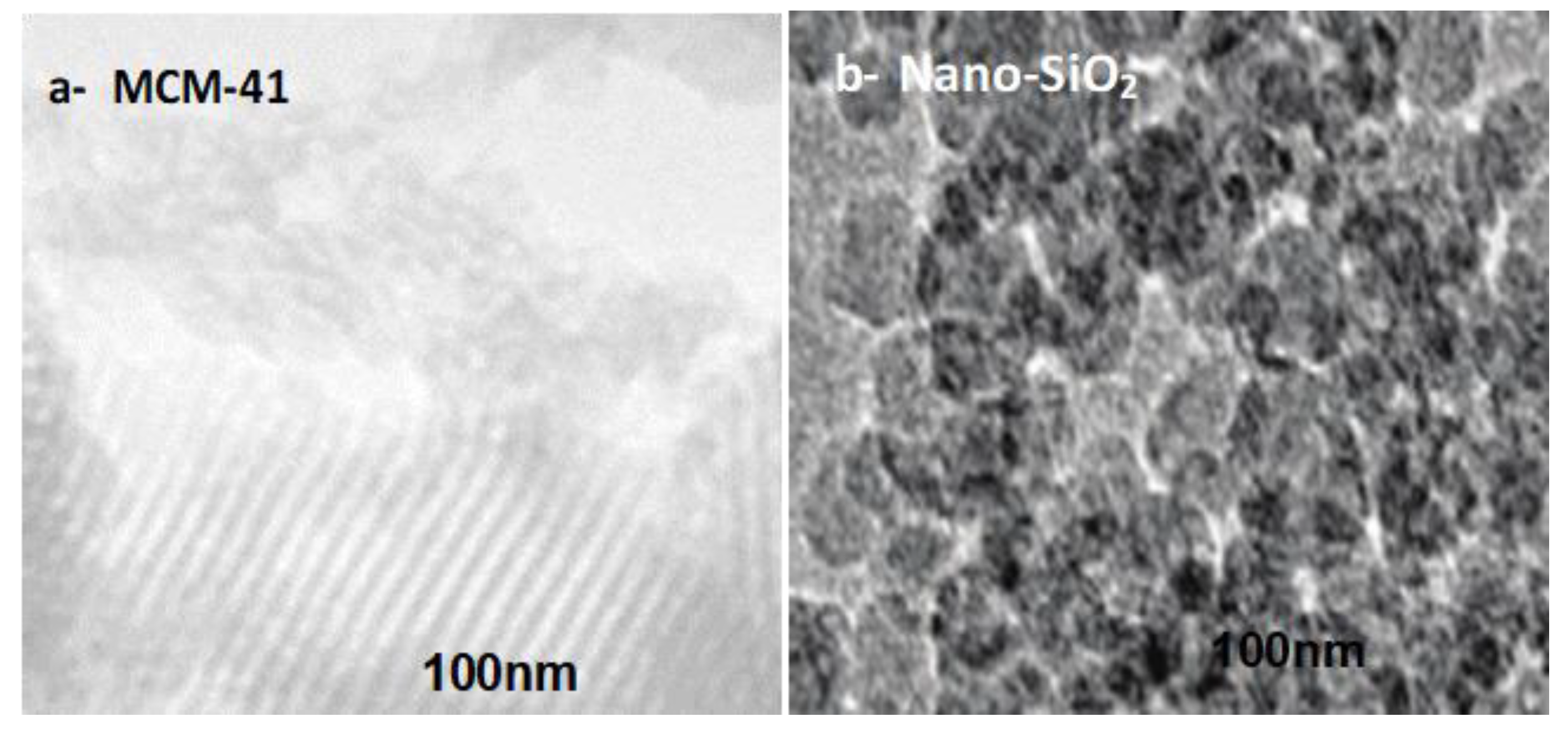 Catalysts 13 01267 g007