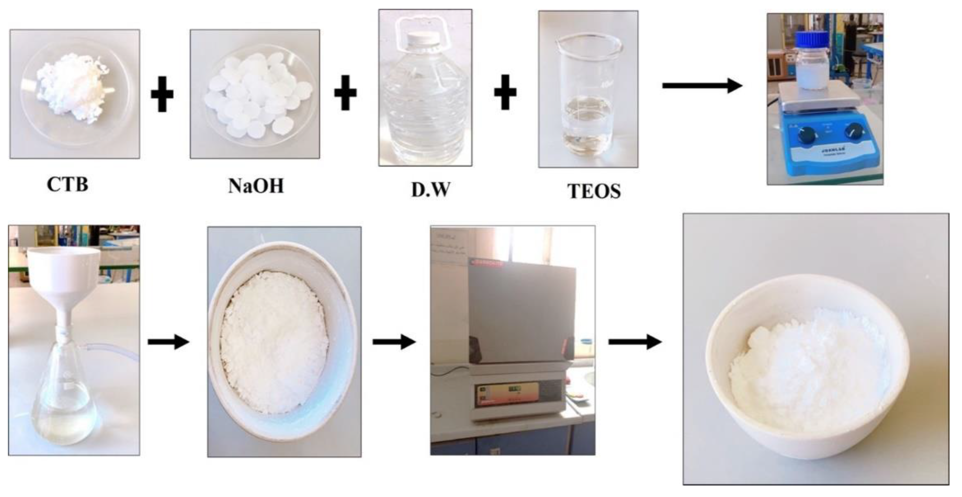 Catalysts 13 01267 g010
