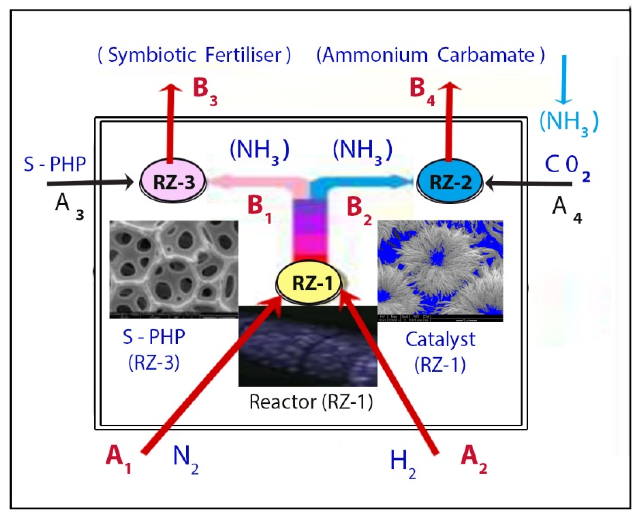 Catalysts 13 01287 g001