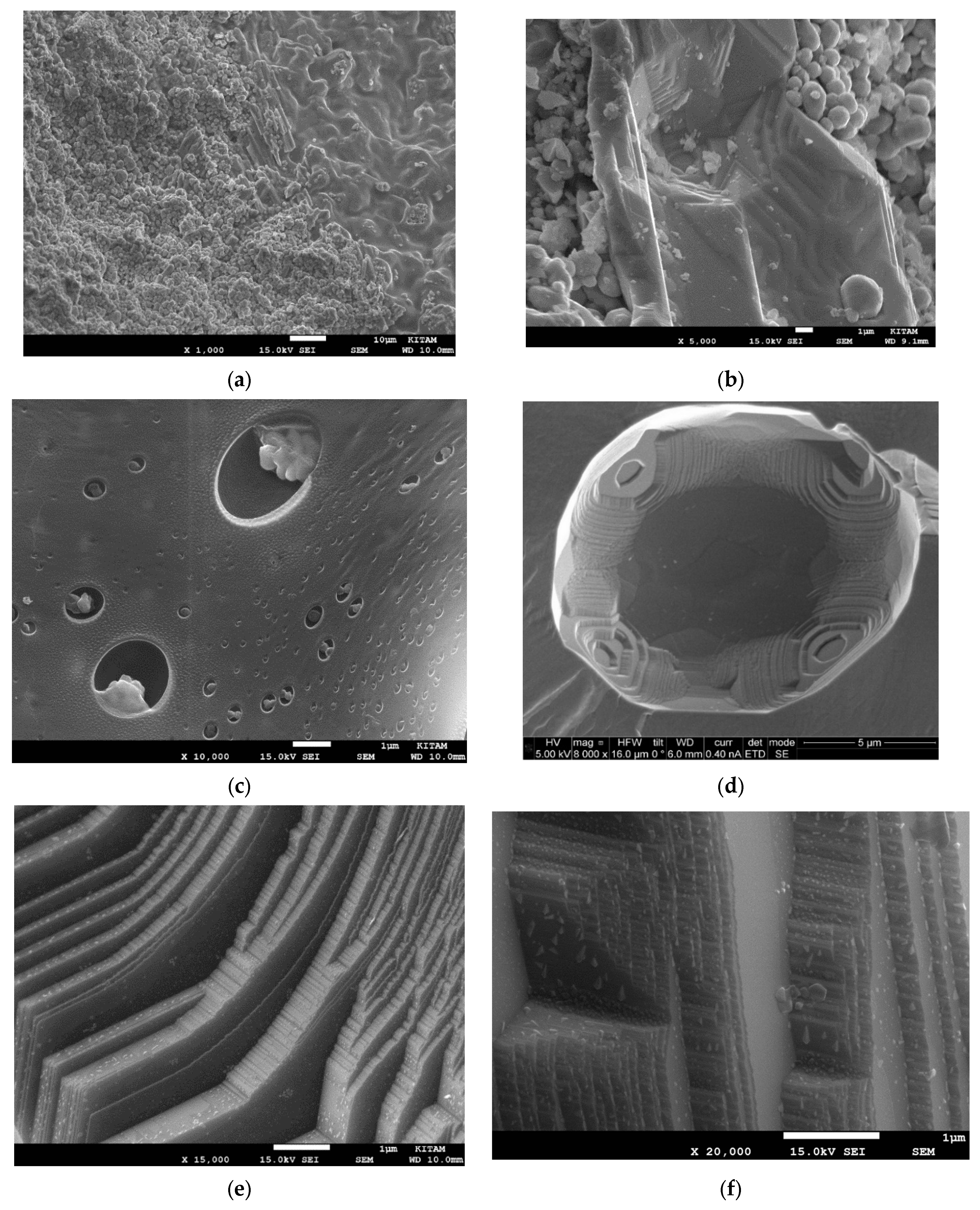 Catalysts 13 01287 g012a