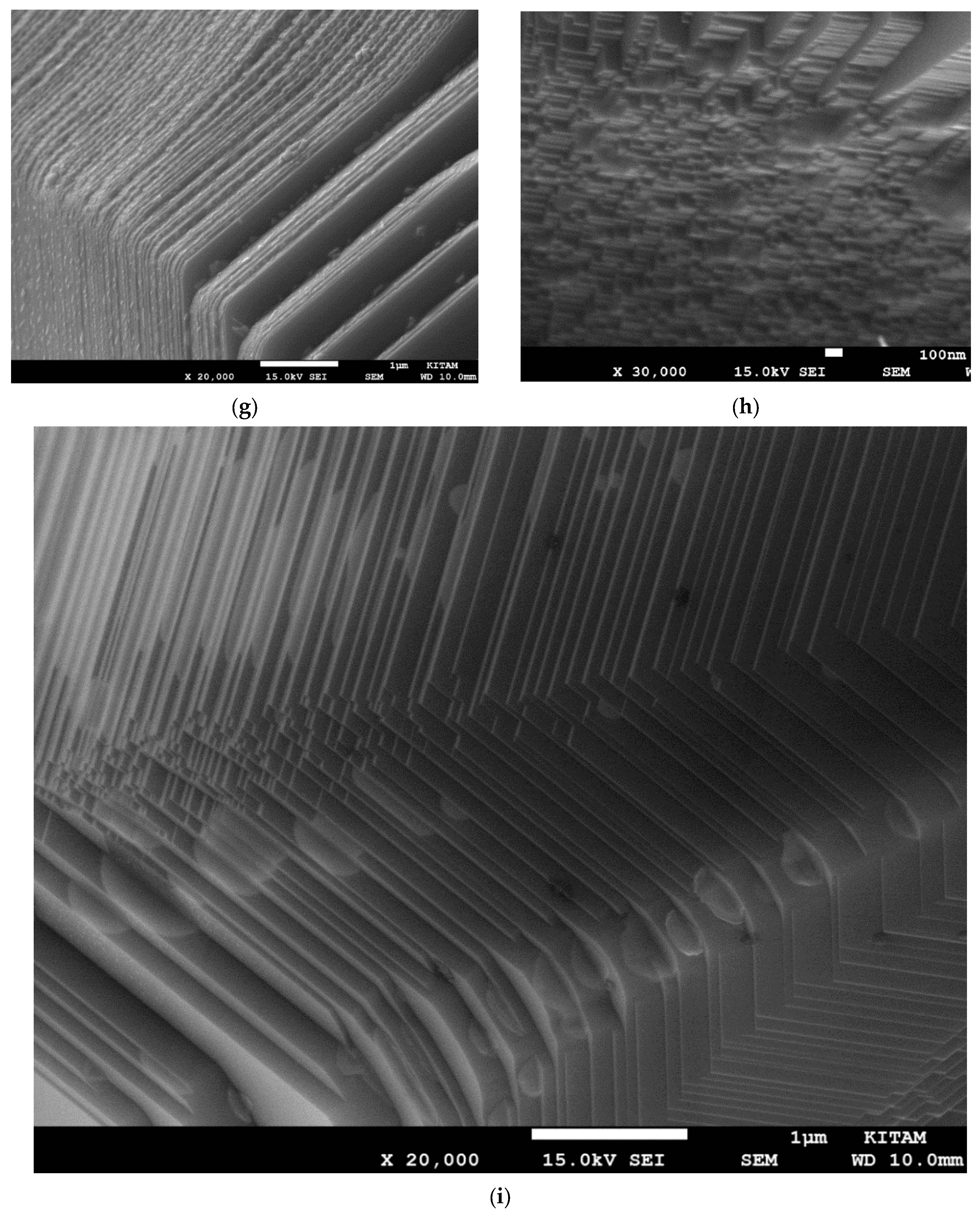 Catalysts 13 01287 g012b