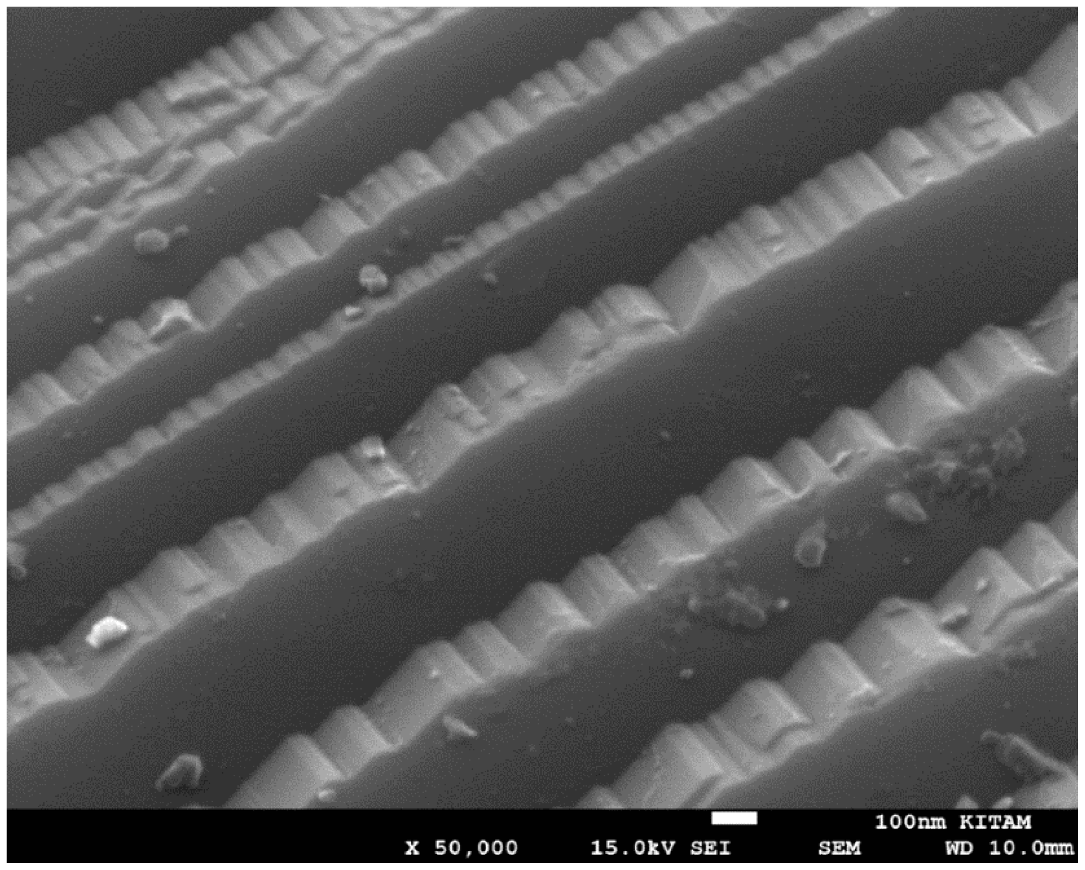 Catalysts 13 01287 g016