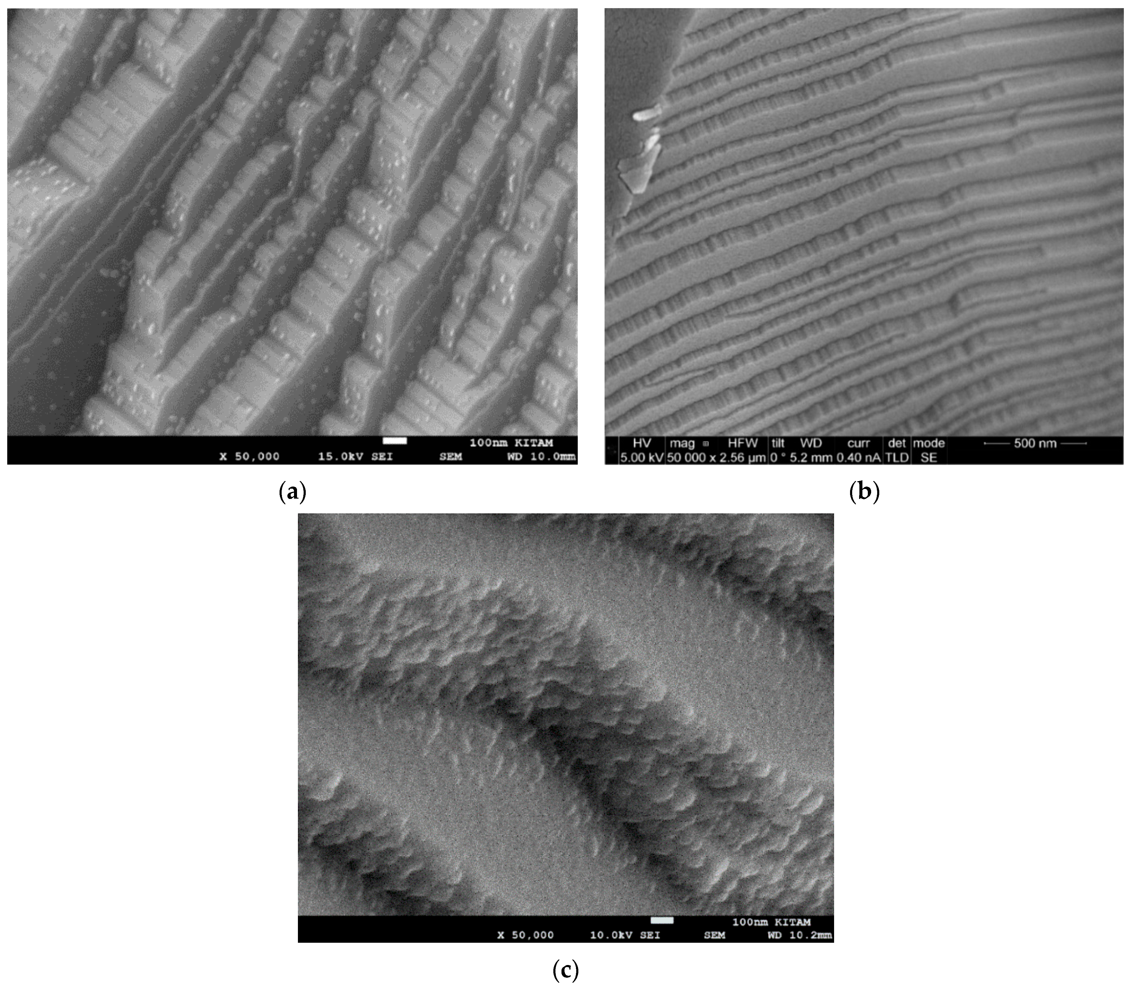 Catalysts 13 01287 g017