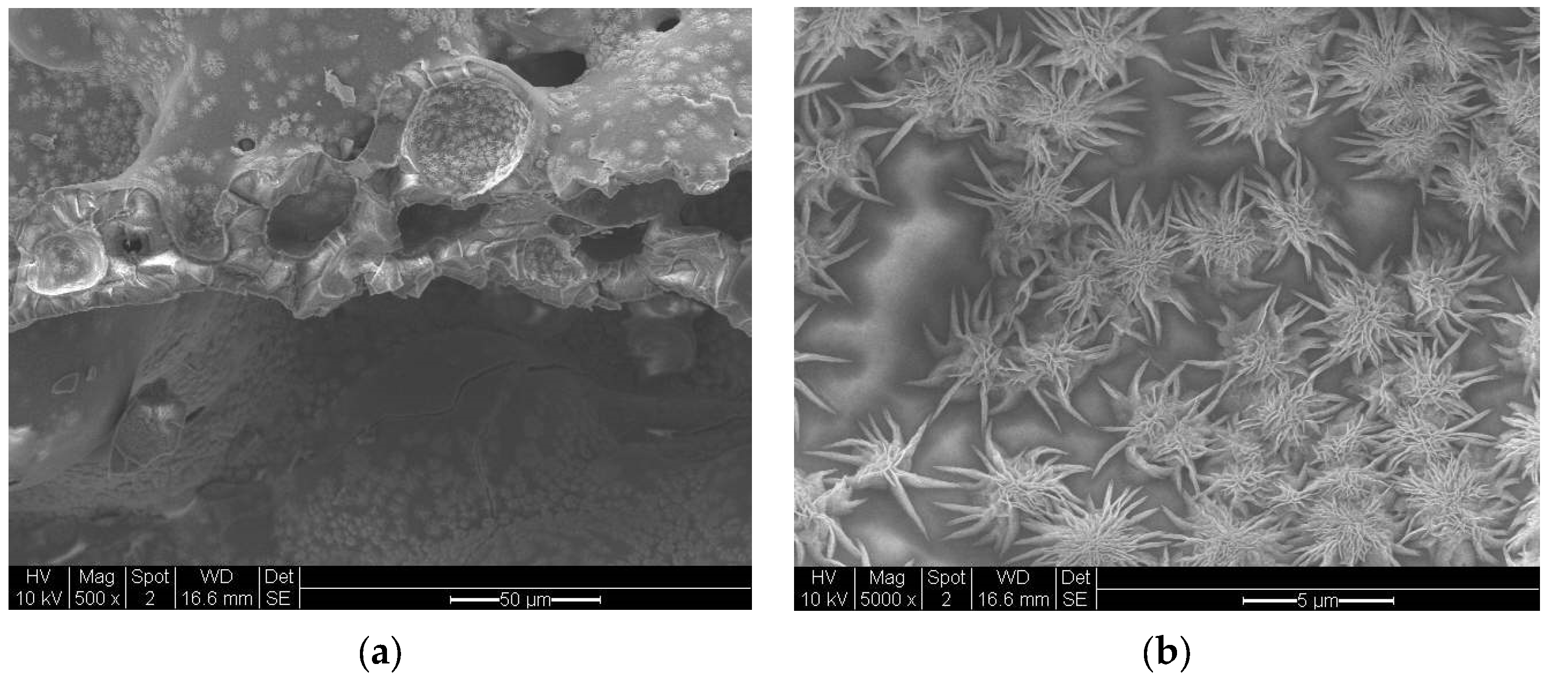 Catalysts 13 01287 g020