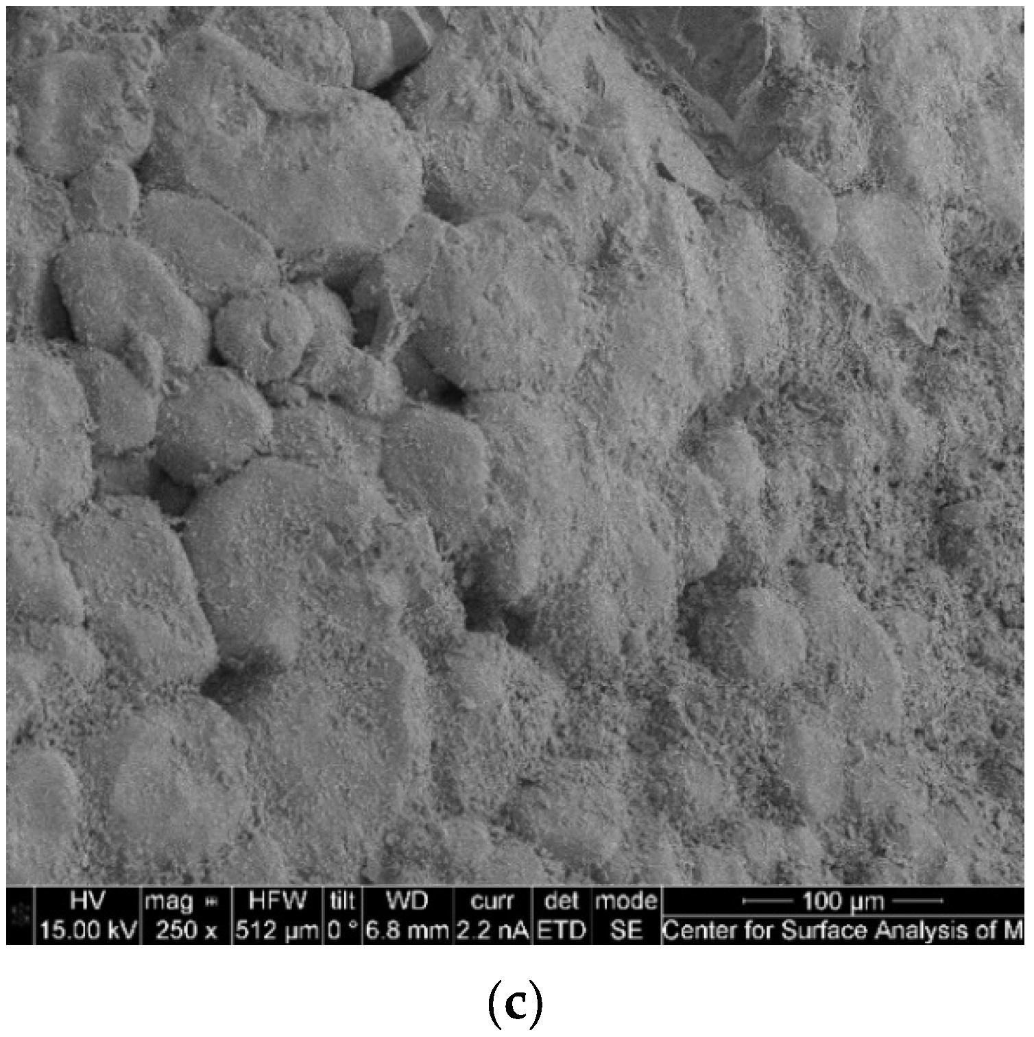 Catalysts 13 01287 g021b