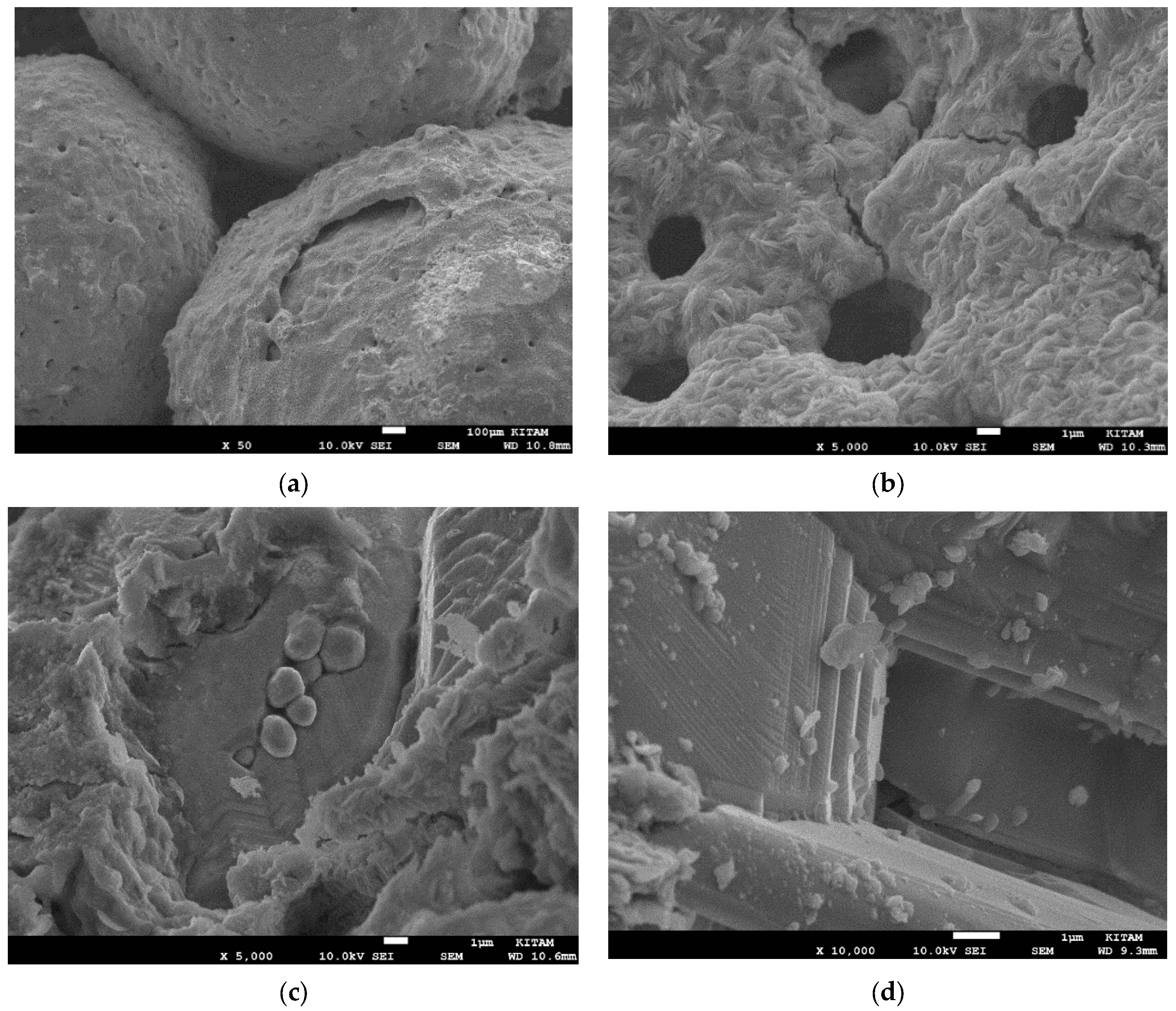Catalysts 13 01287 g024