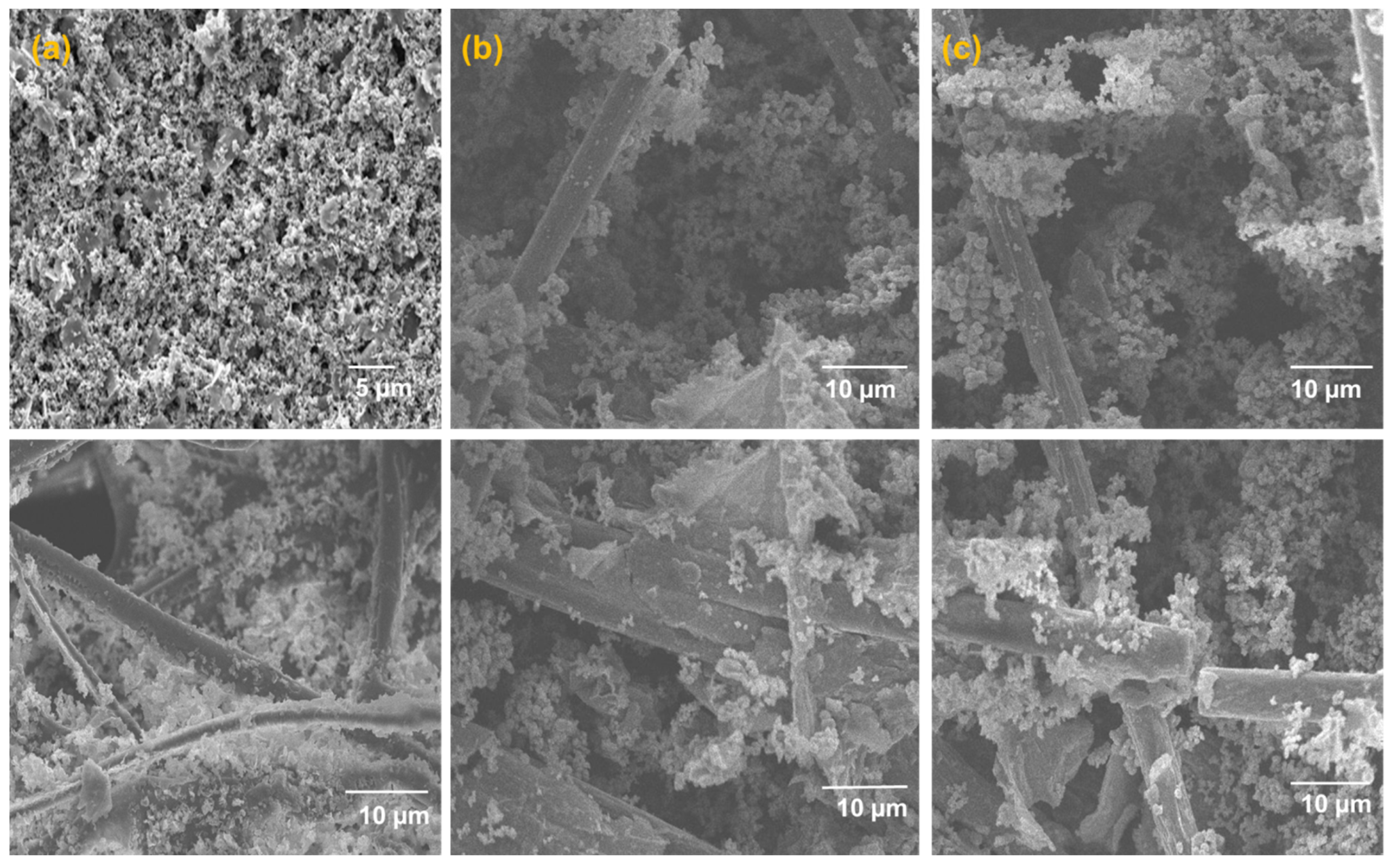 Catalysts 13 01293 g001