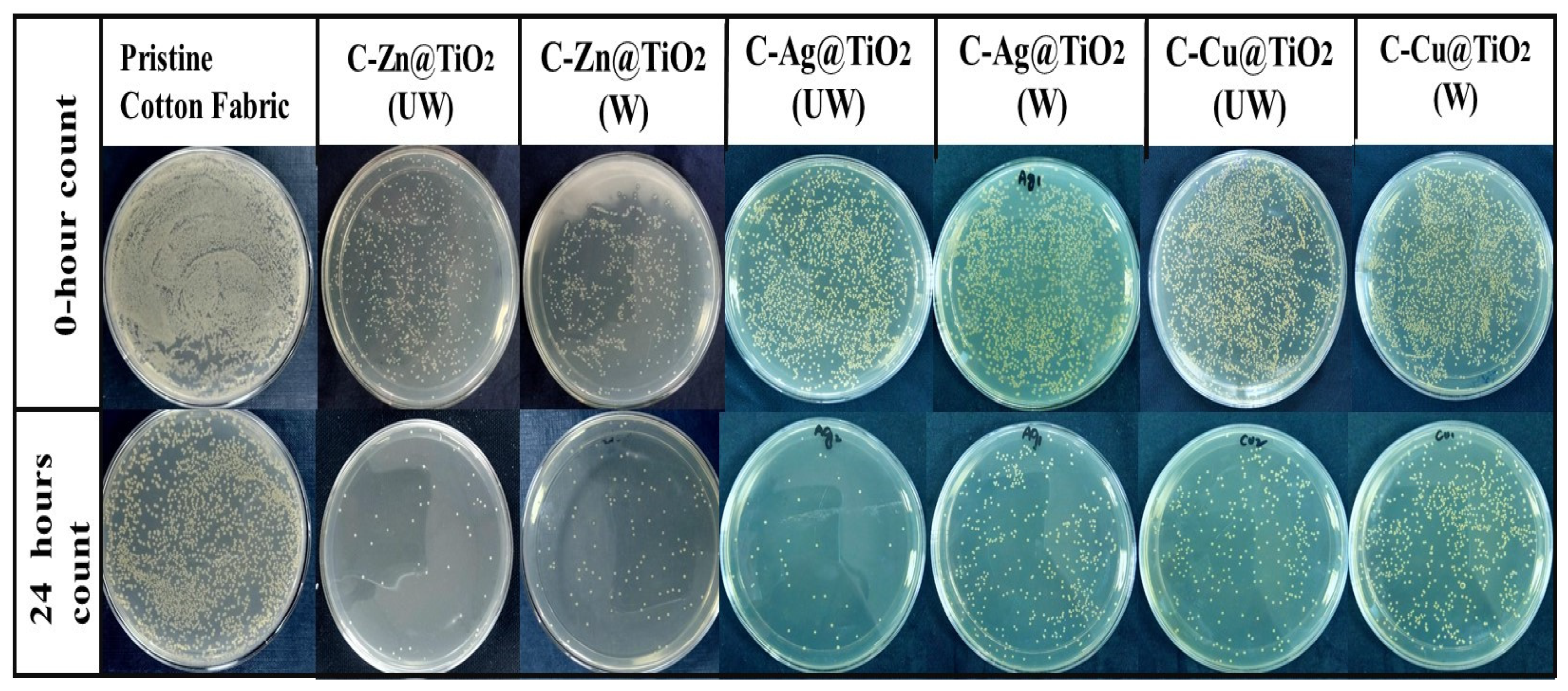 Catalysts 13 01293 g012
