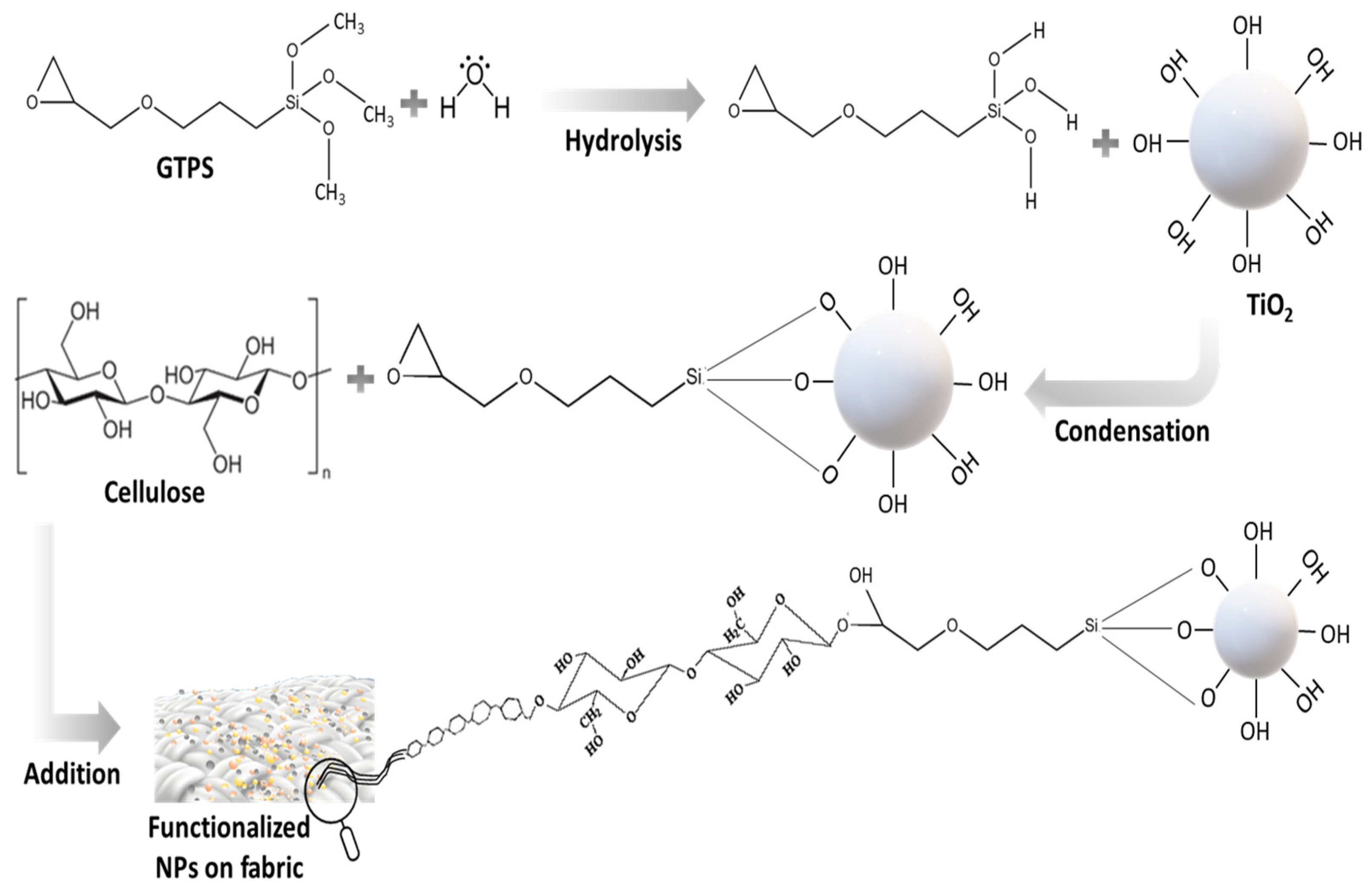 Catalysts 13 01293 g015