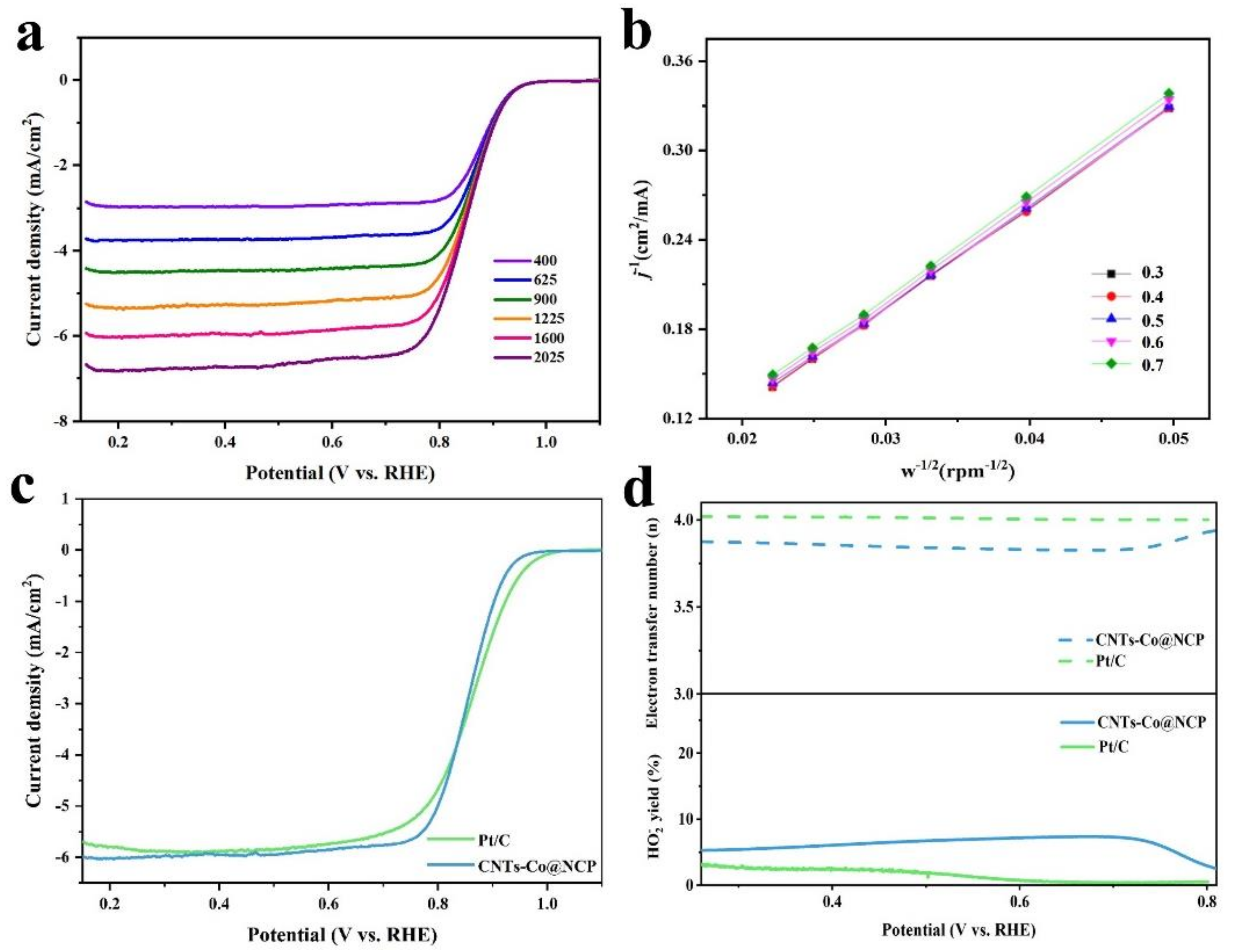 Catalysts 13 01307 g009