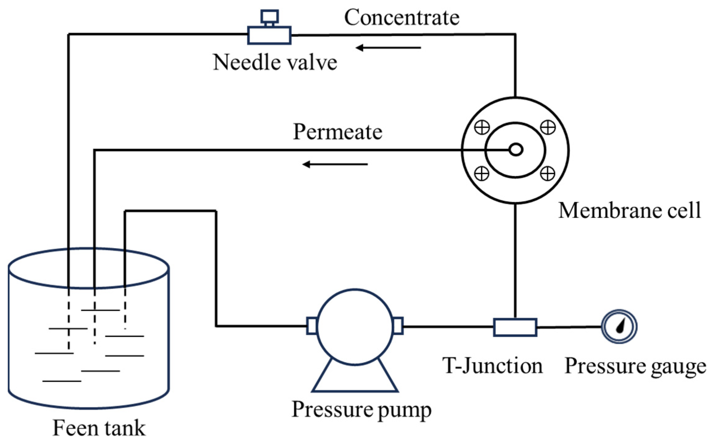 Catalysts 13 01320 g010