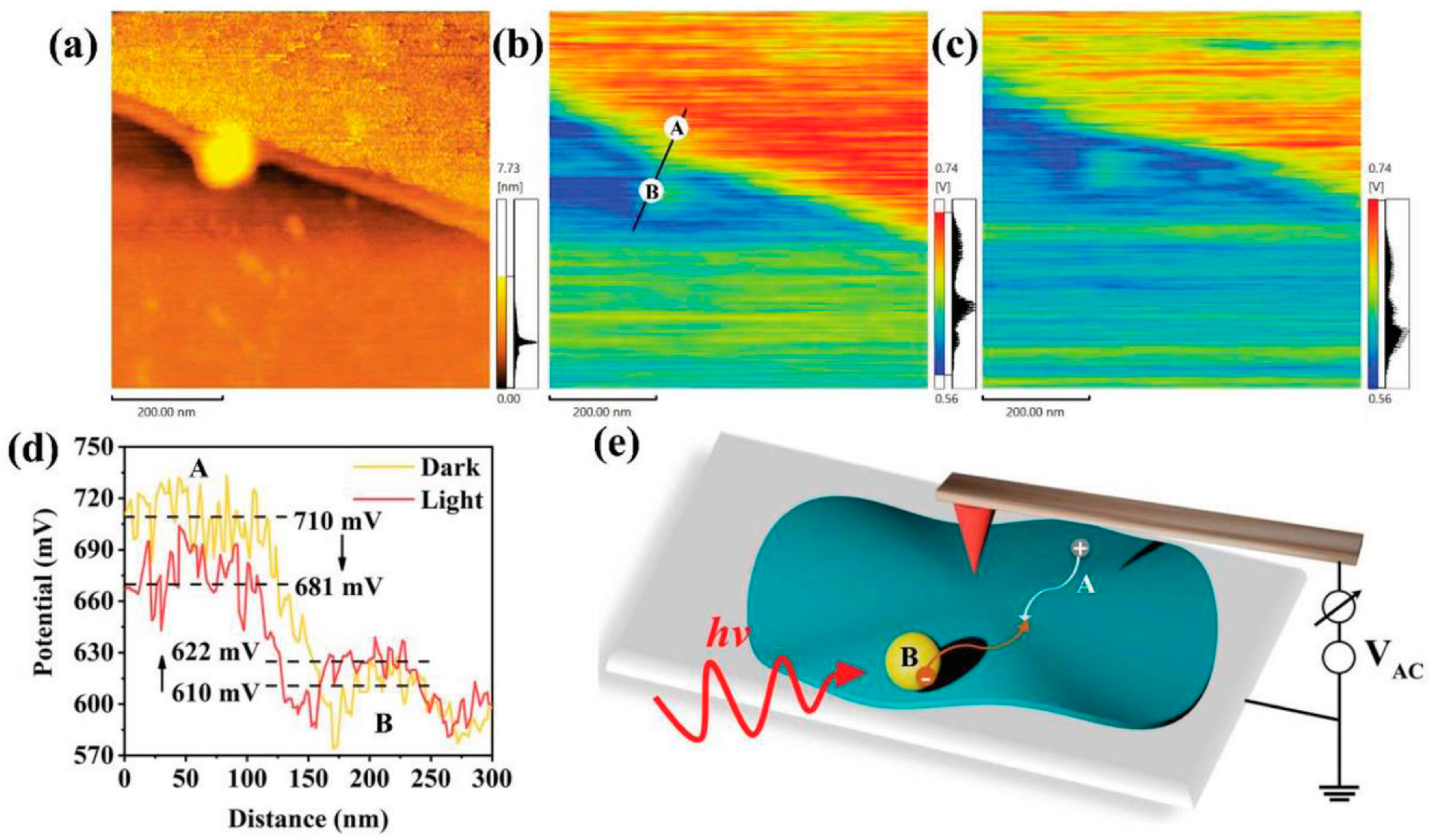 Catalysts 13 01325 g005