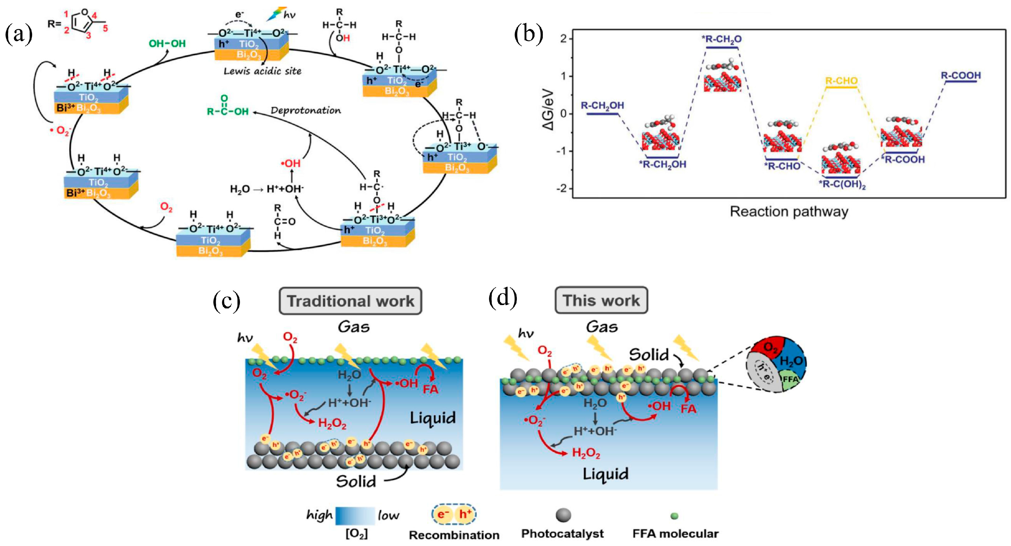 Catalysts 13 01325 g009