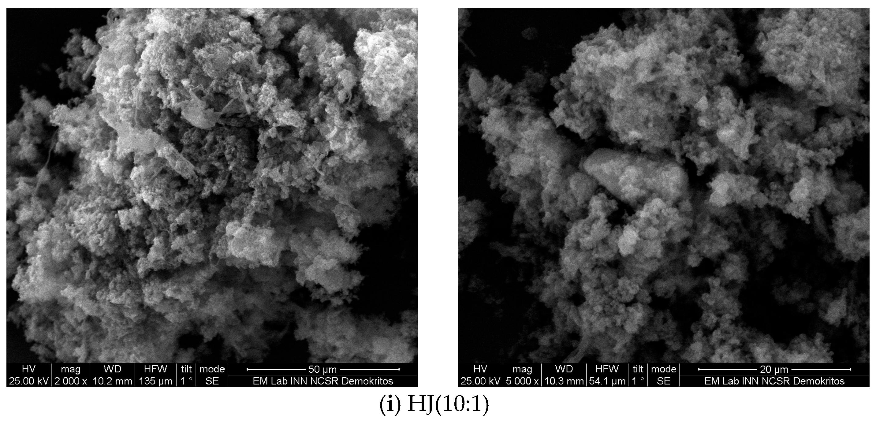 Catalysts 13 01331 g002a