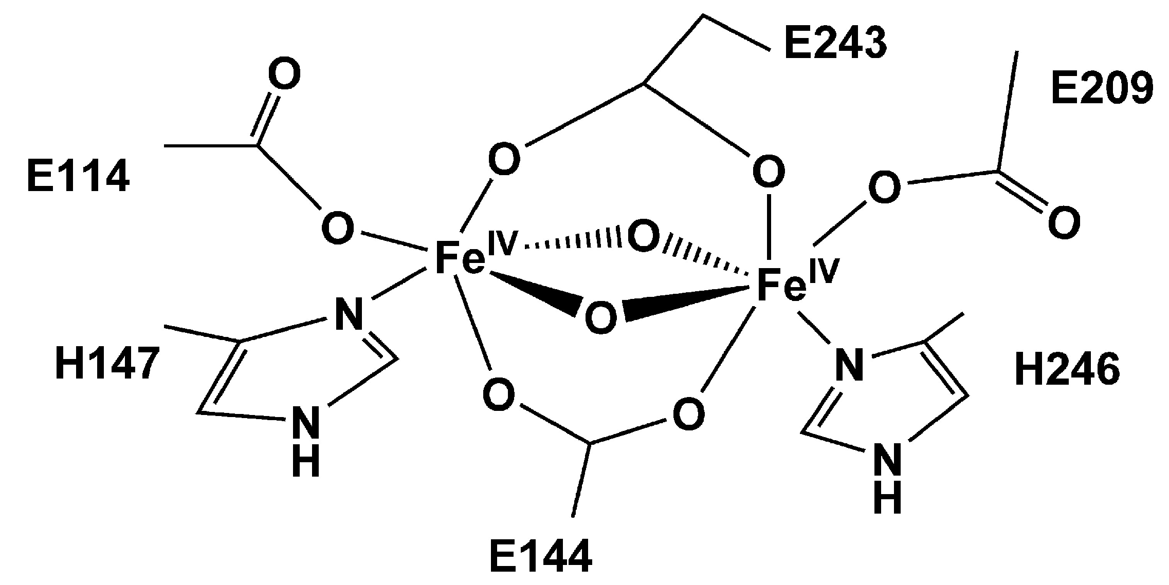 Catalysts 13 01338 g002