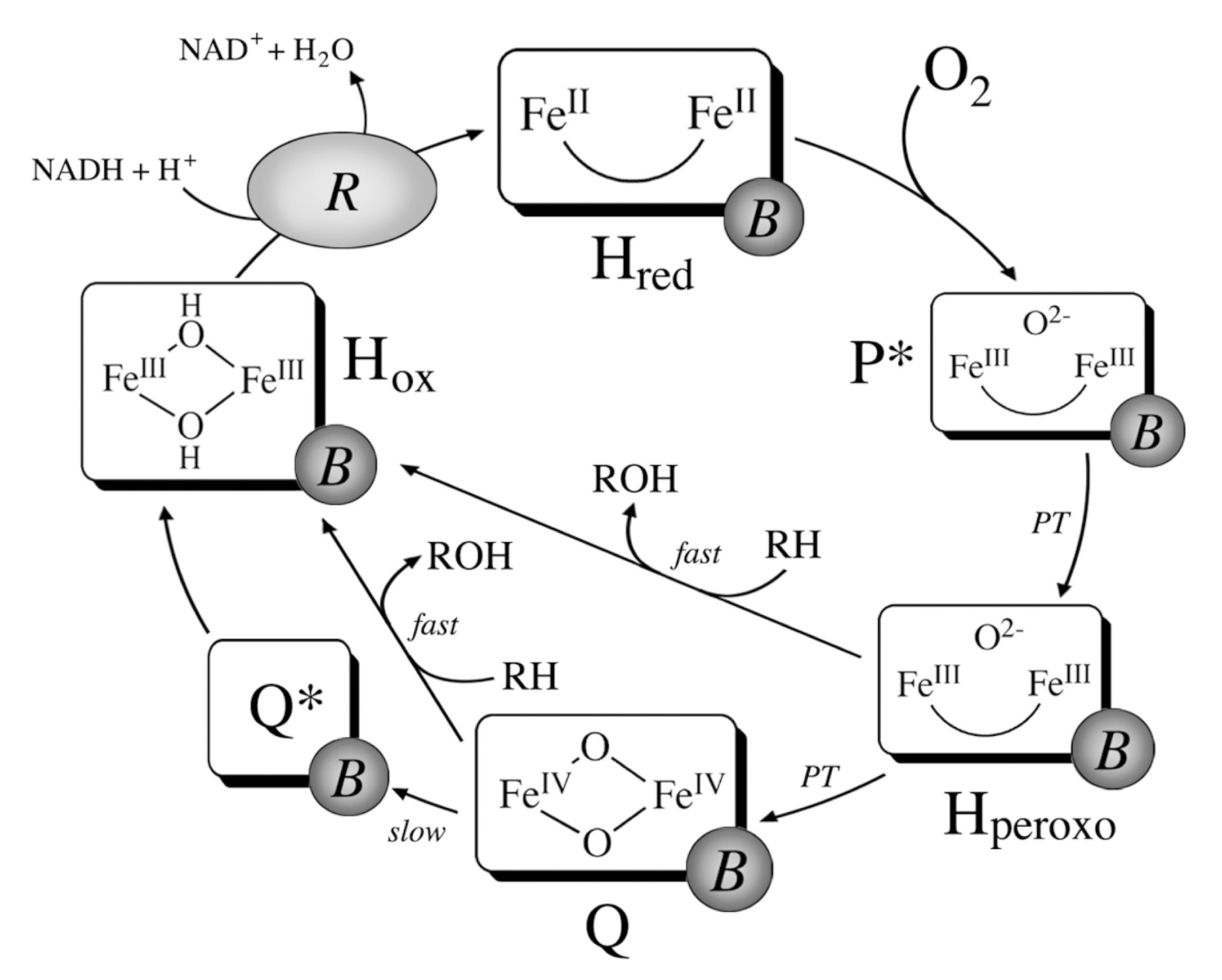 Catalysts 13 01338 g003