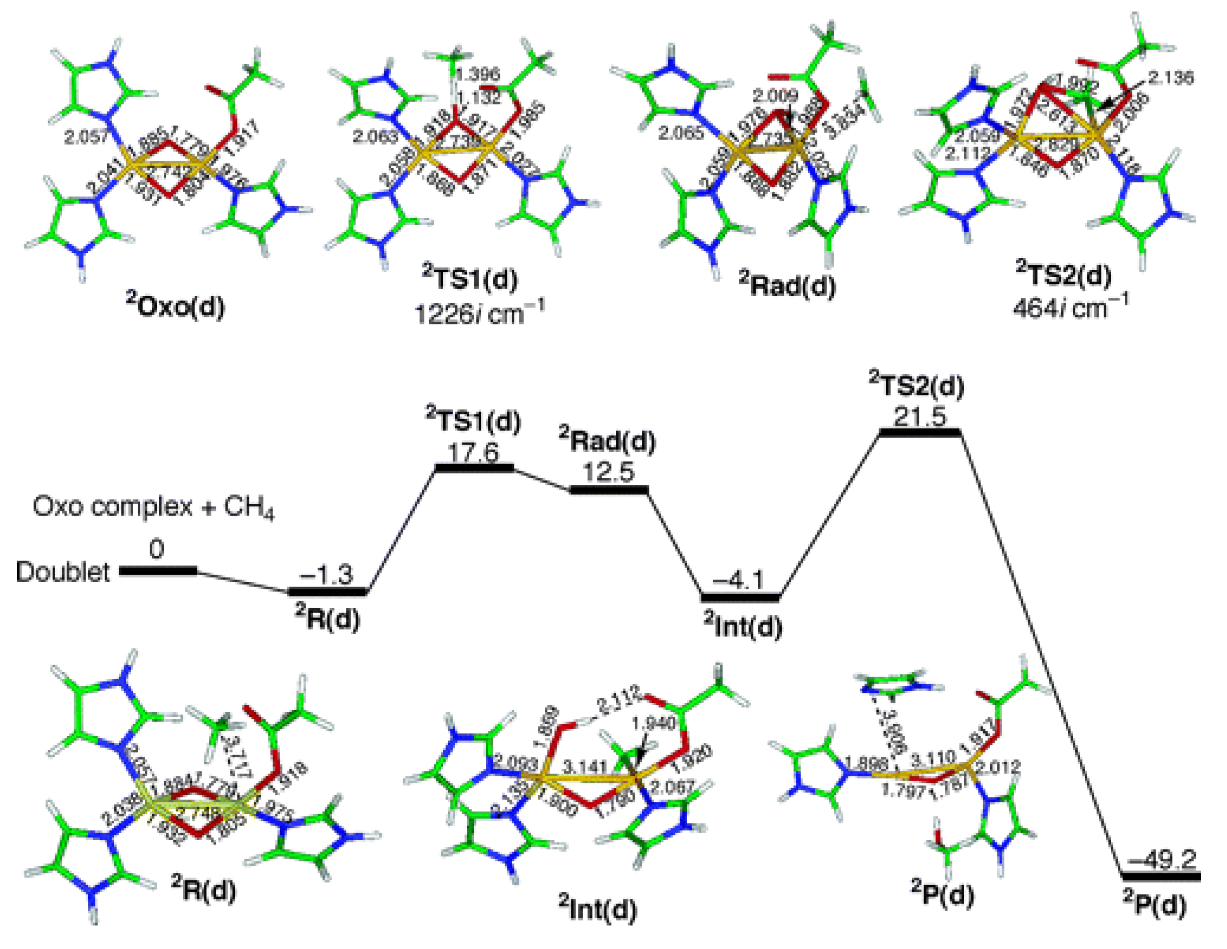 Catalysts 13 01338 g008