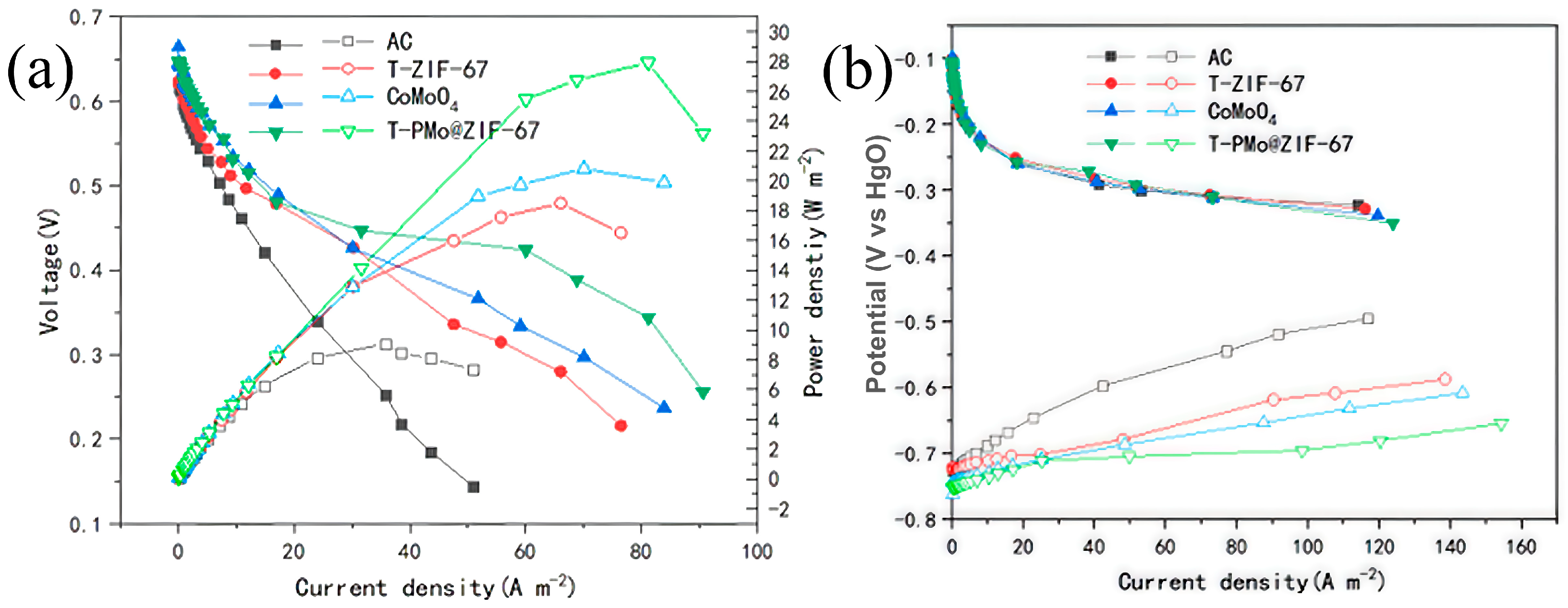 Catalysts 13 01339 g004