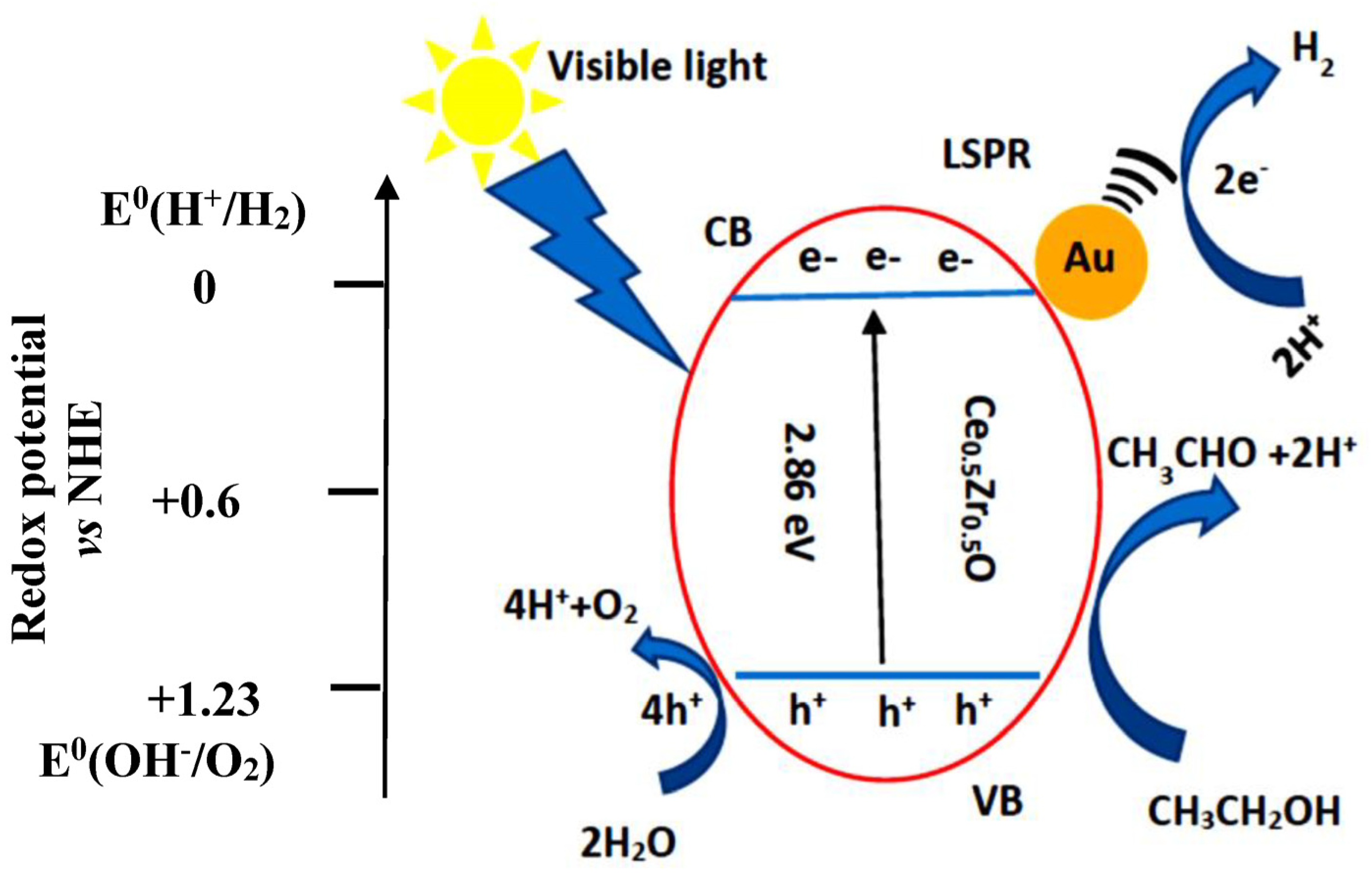 Catalysts 13 01340 sch001