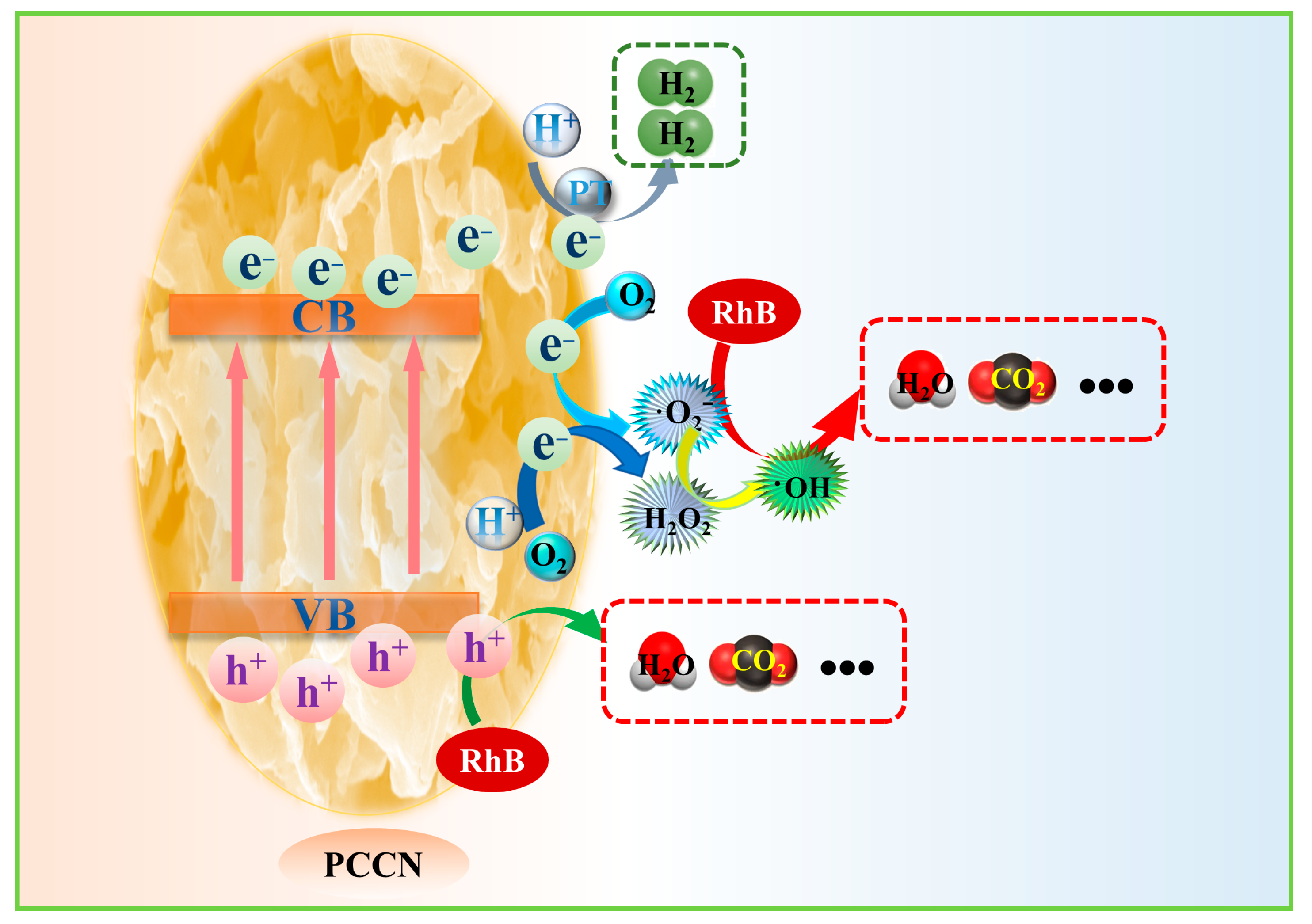 Catalysts 13 01345 g006
