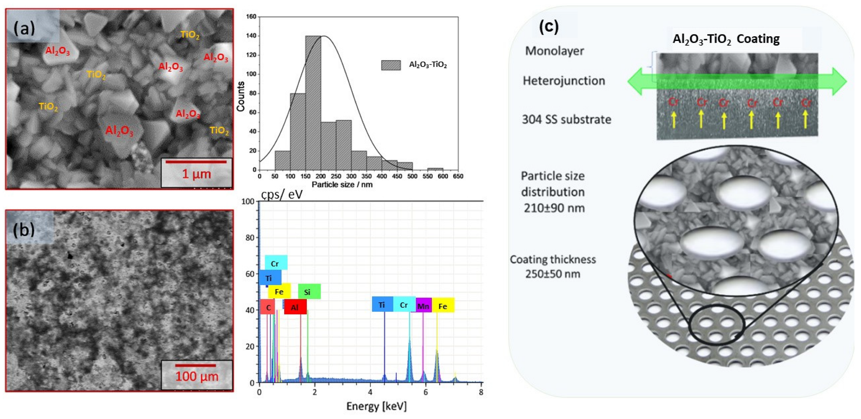 Catalysts 13 01351 g002