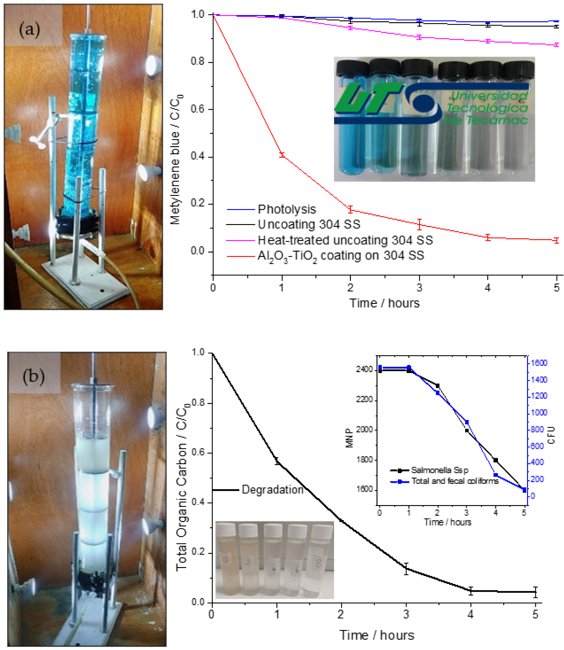 Catalysts 13 01351 g005