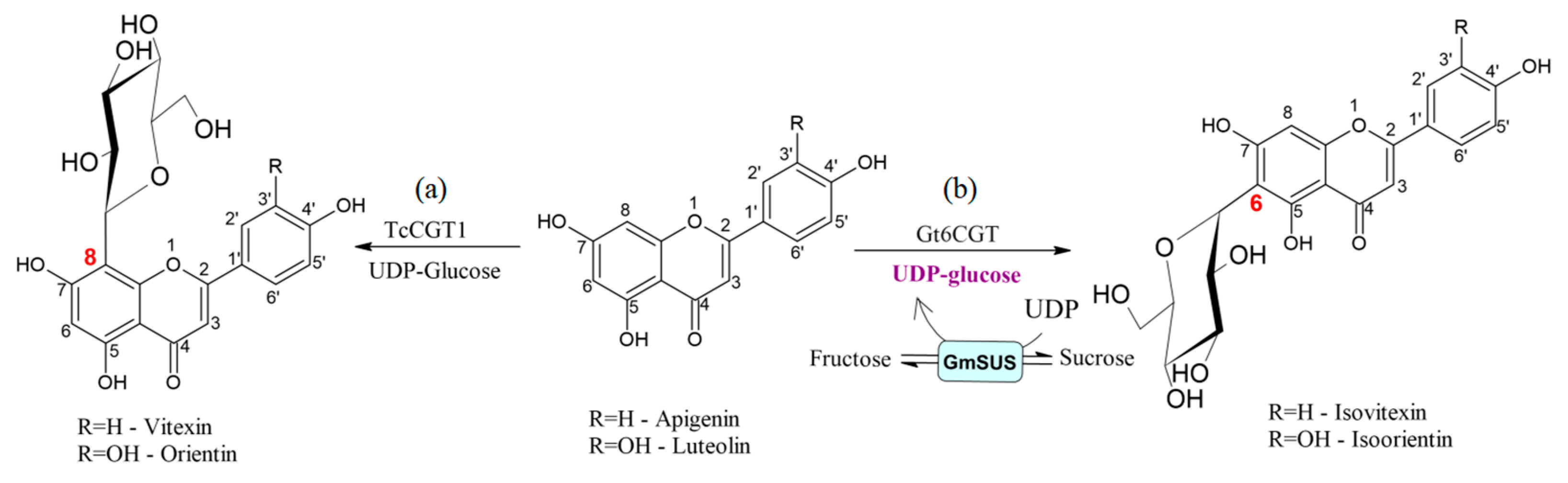 Catalysts 13 01359 g005 Catalysts 13 01359 g005