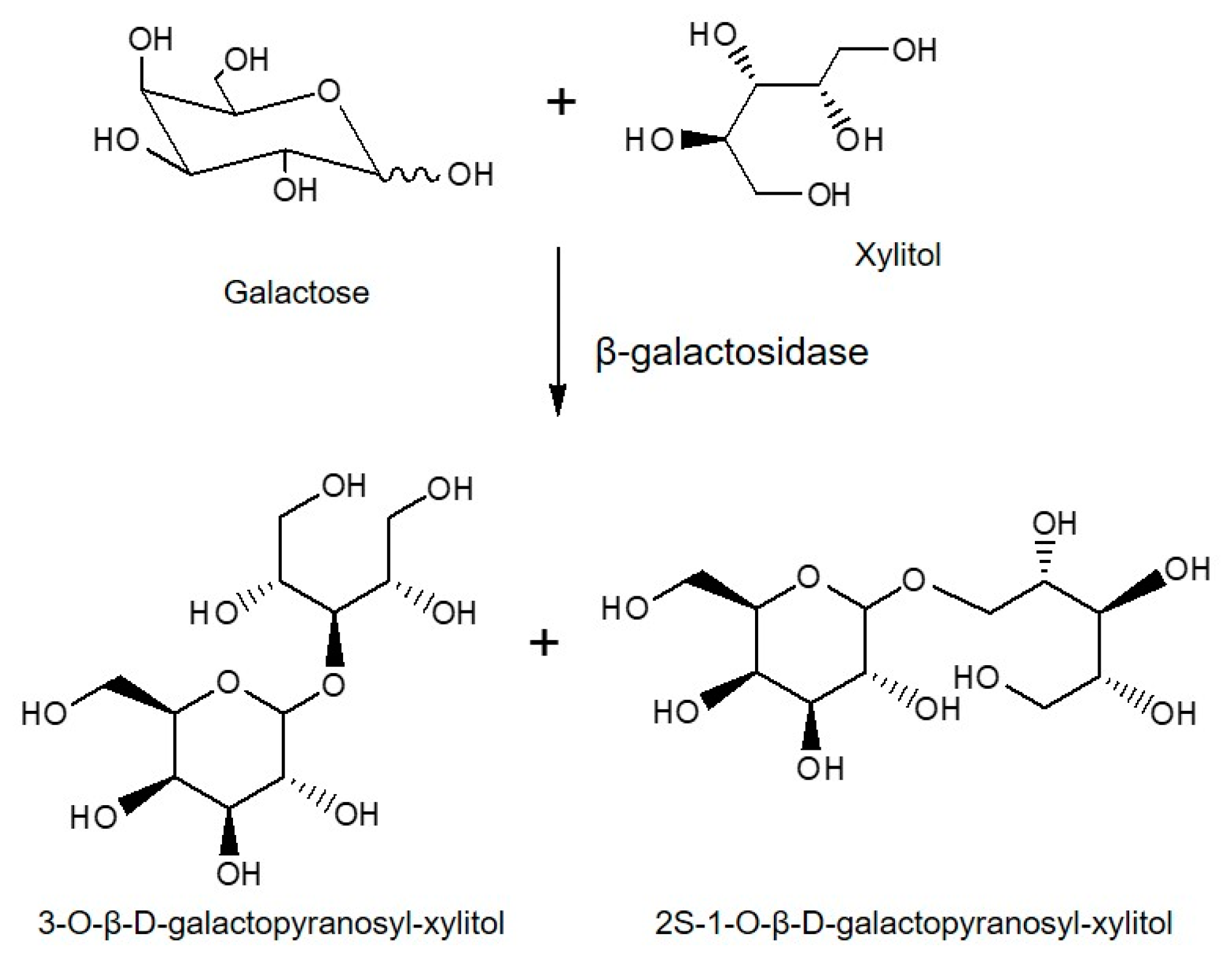 Catalysts 13 01359 g007 Catalysts 13 01359 g007