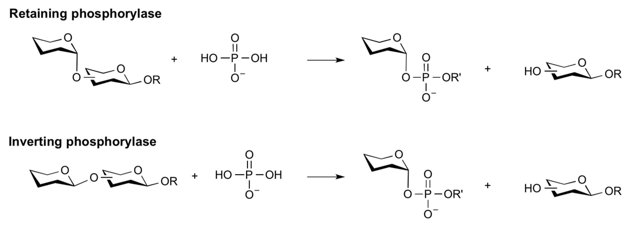 Catalysts 13 01359 g009 Catalysts 13 01359 g009