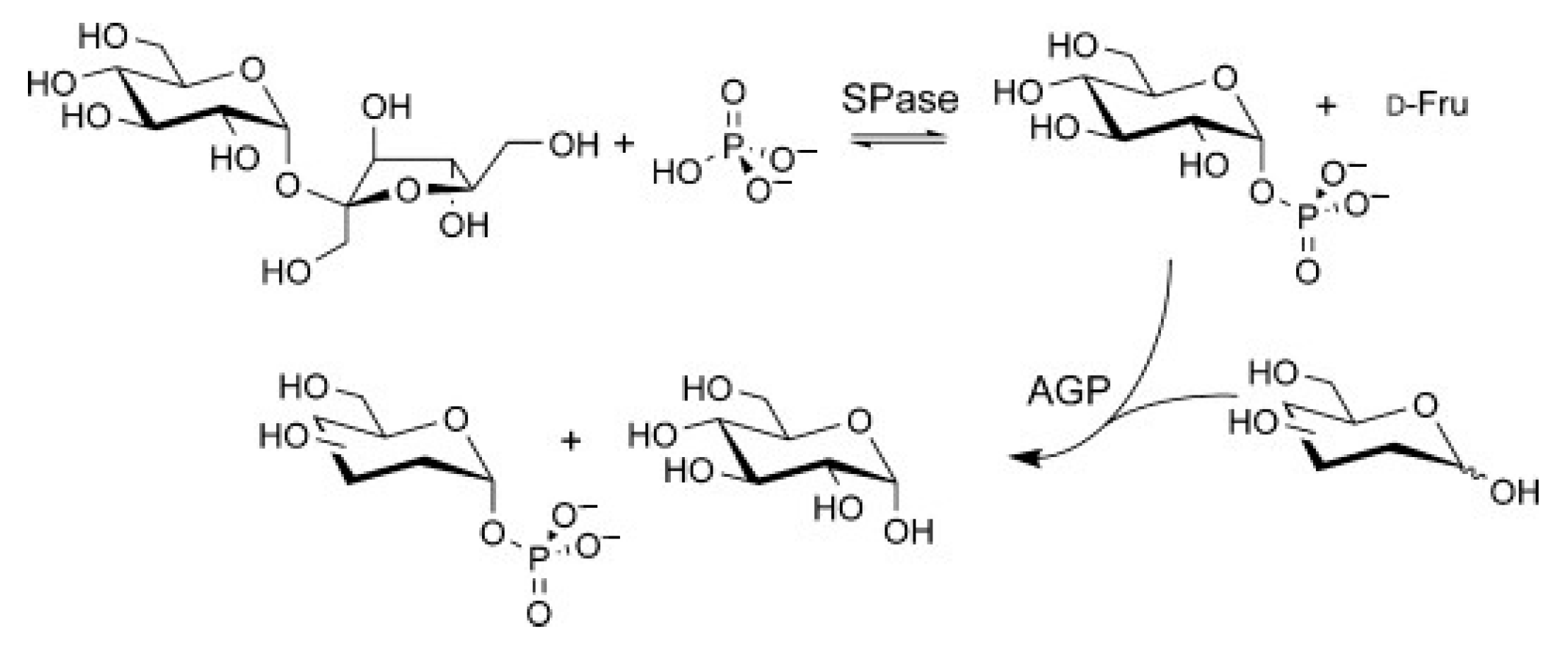 Catalysts 13 01359 g010 Catalysts 13 01359 g010