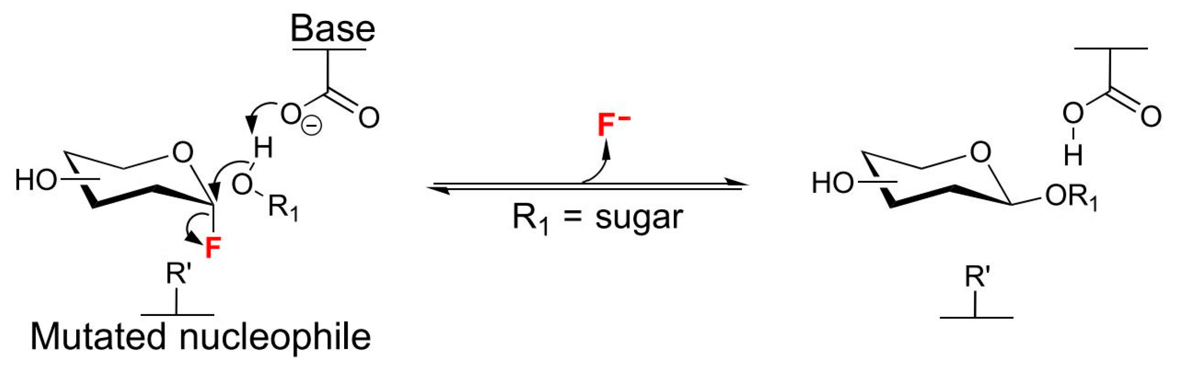 Catalysts 13 01359 g011 Catalysts 13 01359 g011