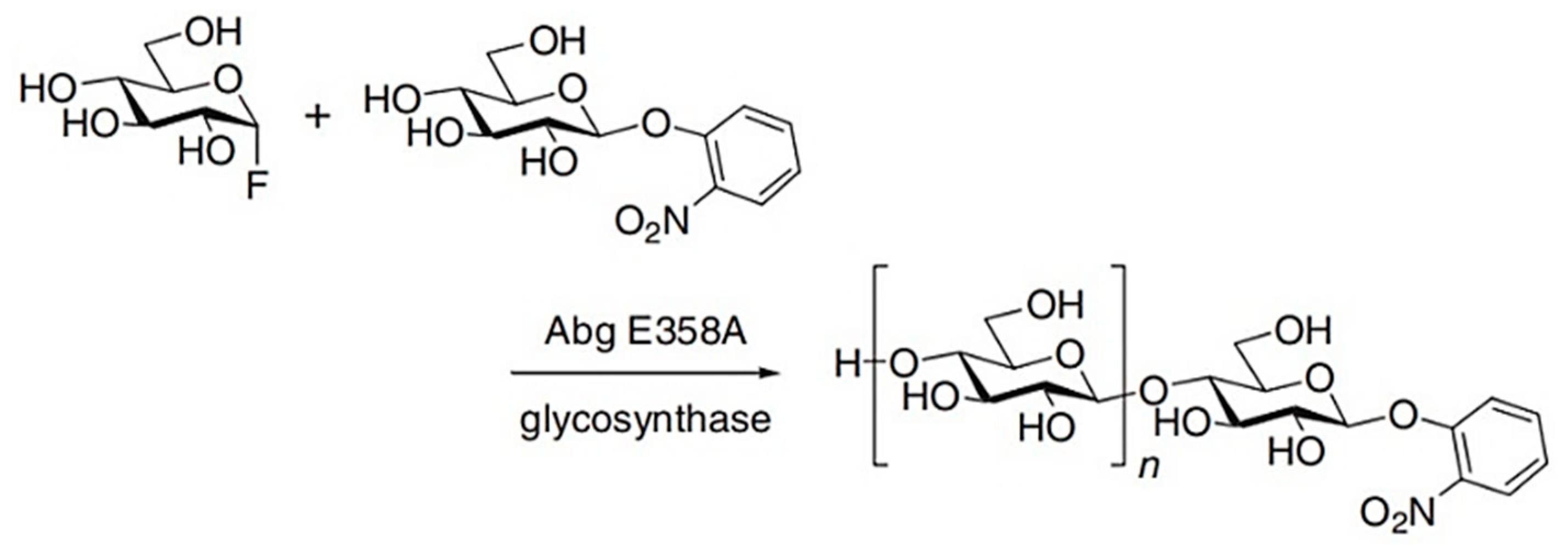 Catalysts 13 01359 g012 Catalysts 13 01359 g012