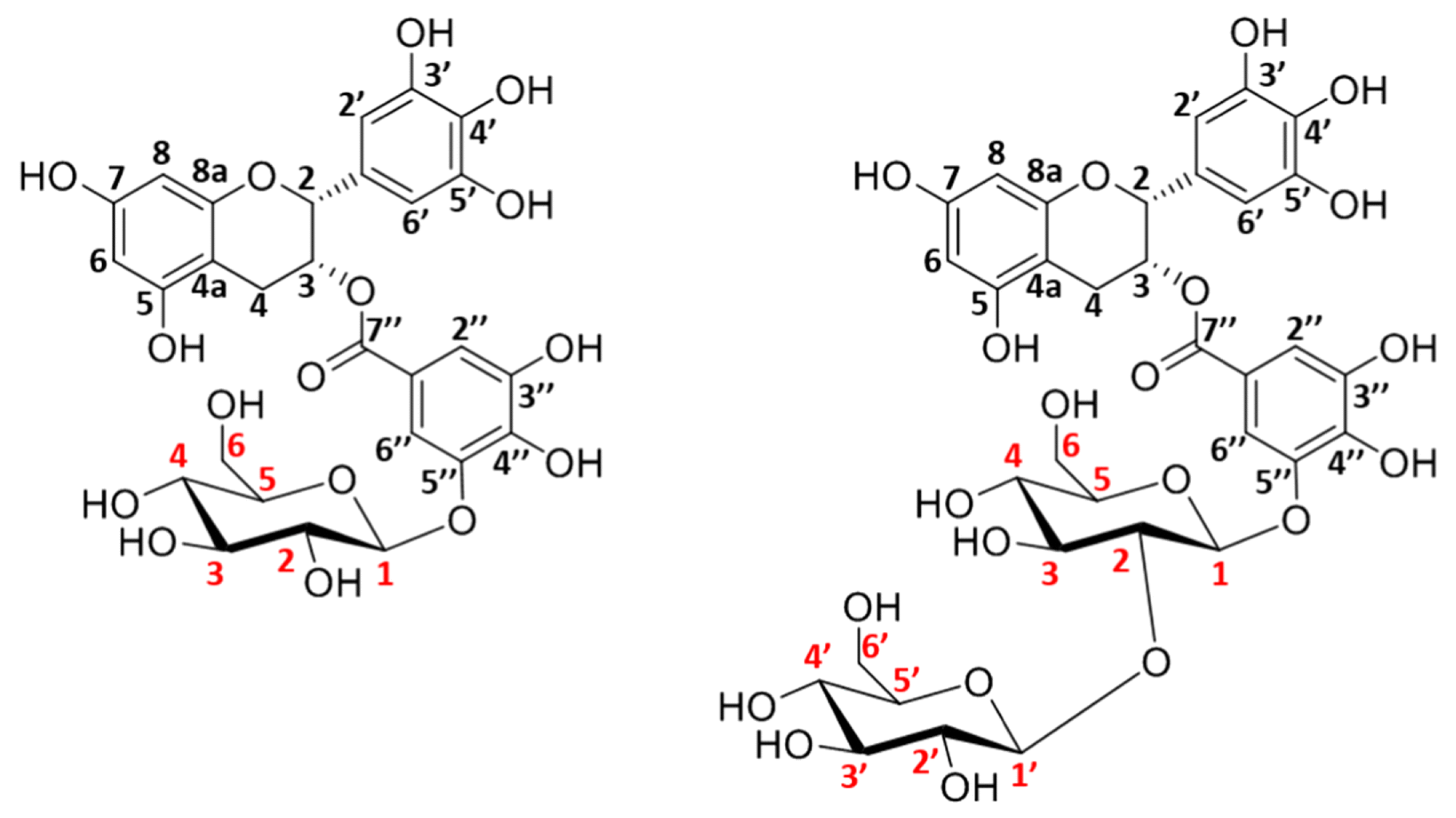 Catalysts 13 01359 g013 Catalysts 13 01359 g013