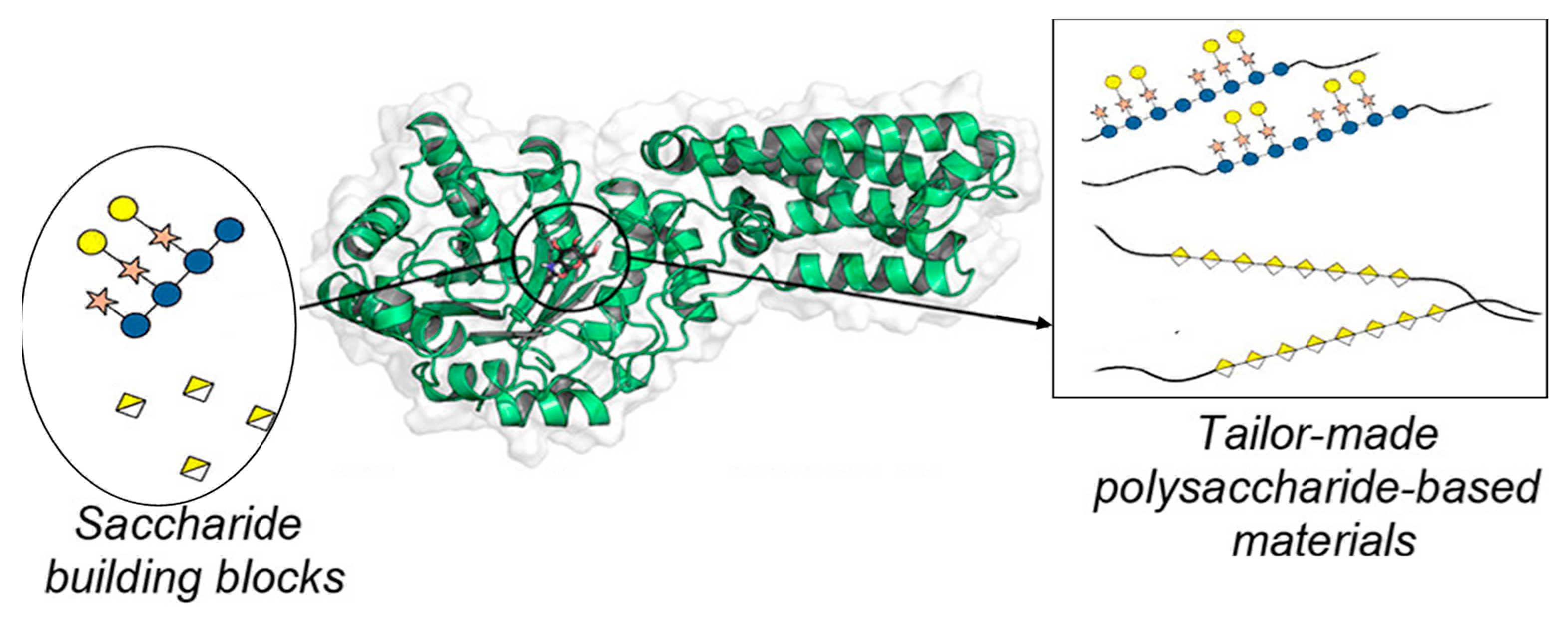 Catalysts 13 01359 g014 Catalysts 13 01359 g014