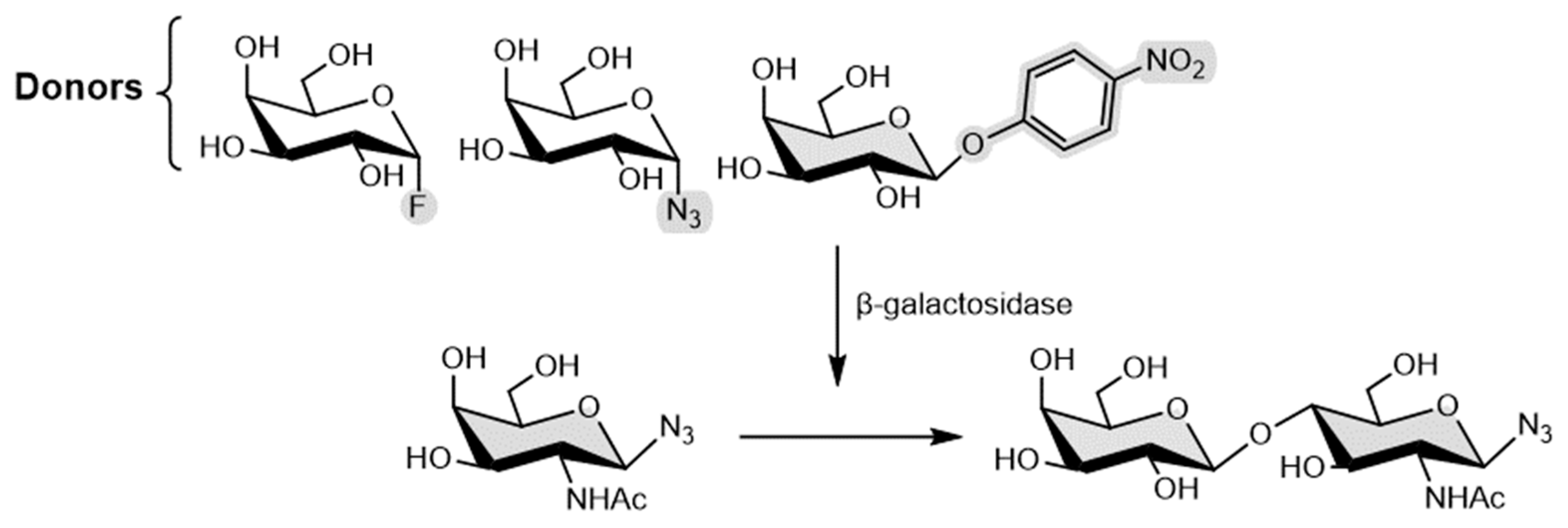 Catalysts 13 01359 g016 Catalysts 13 01359 g016