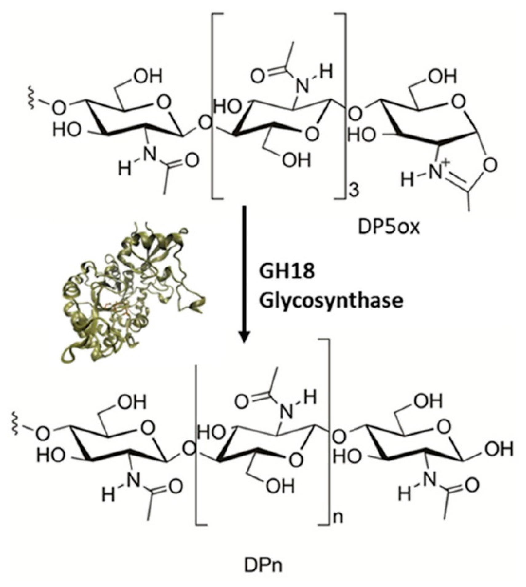 Catalysts 13 01359 g020 Catalysts 13 01359 g020