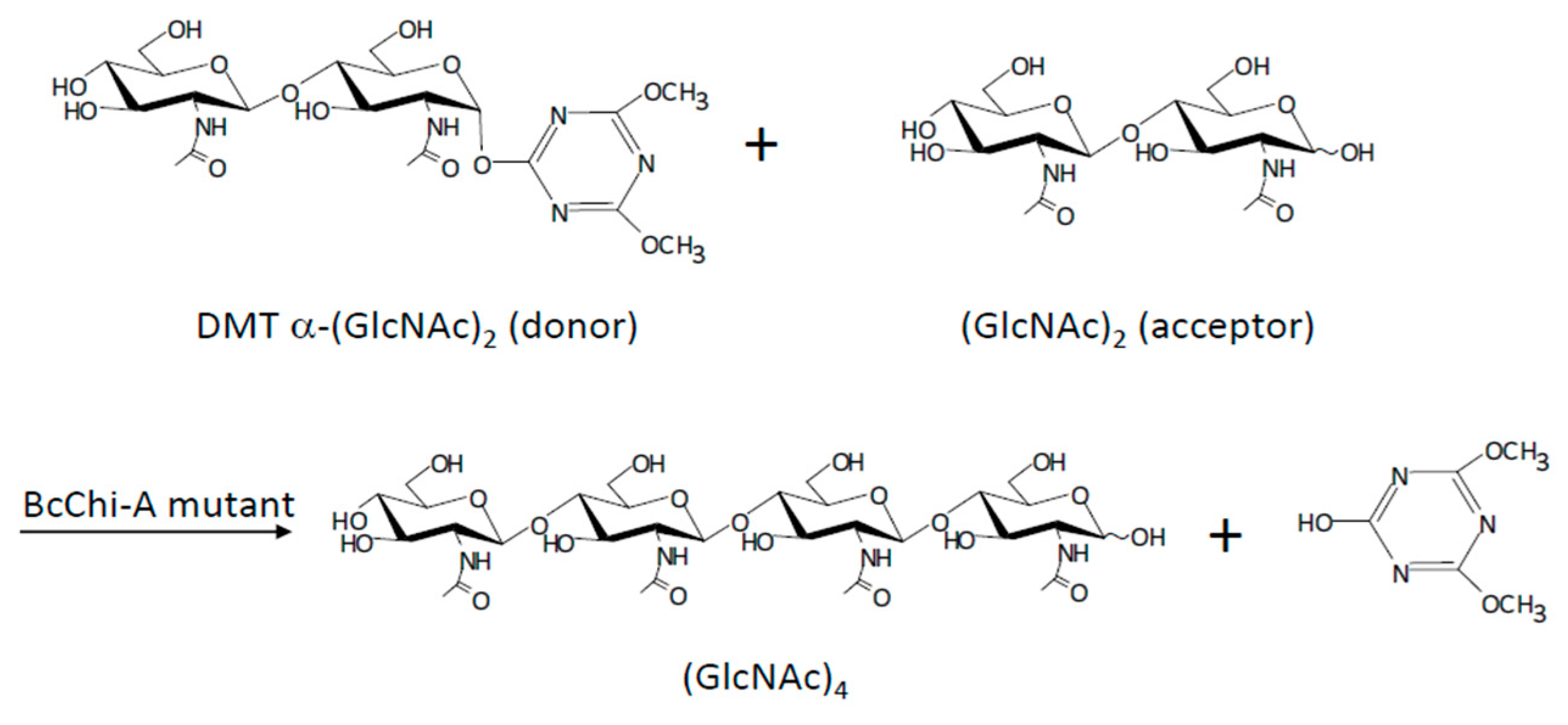 Catalysts 13 01359 g021 Catalysts 13 01359 g021