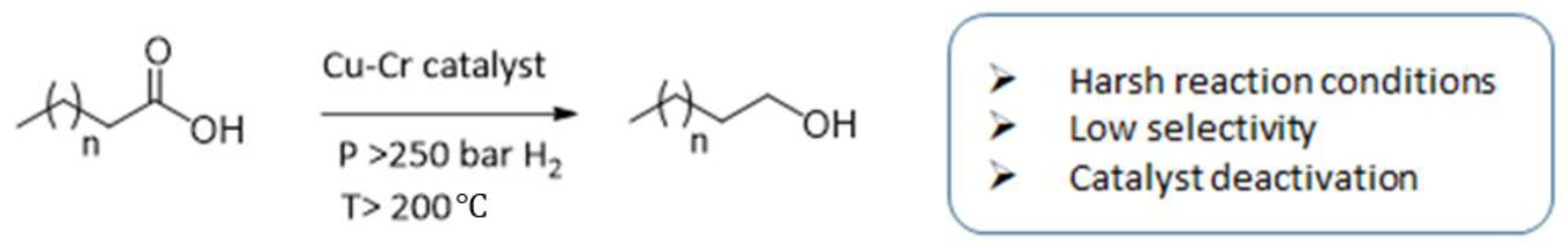 Catalysts 13 01362 sch001