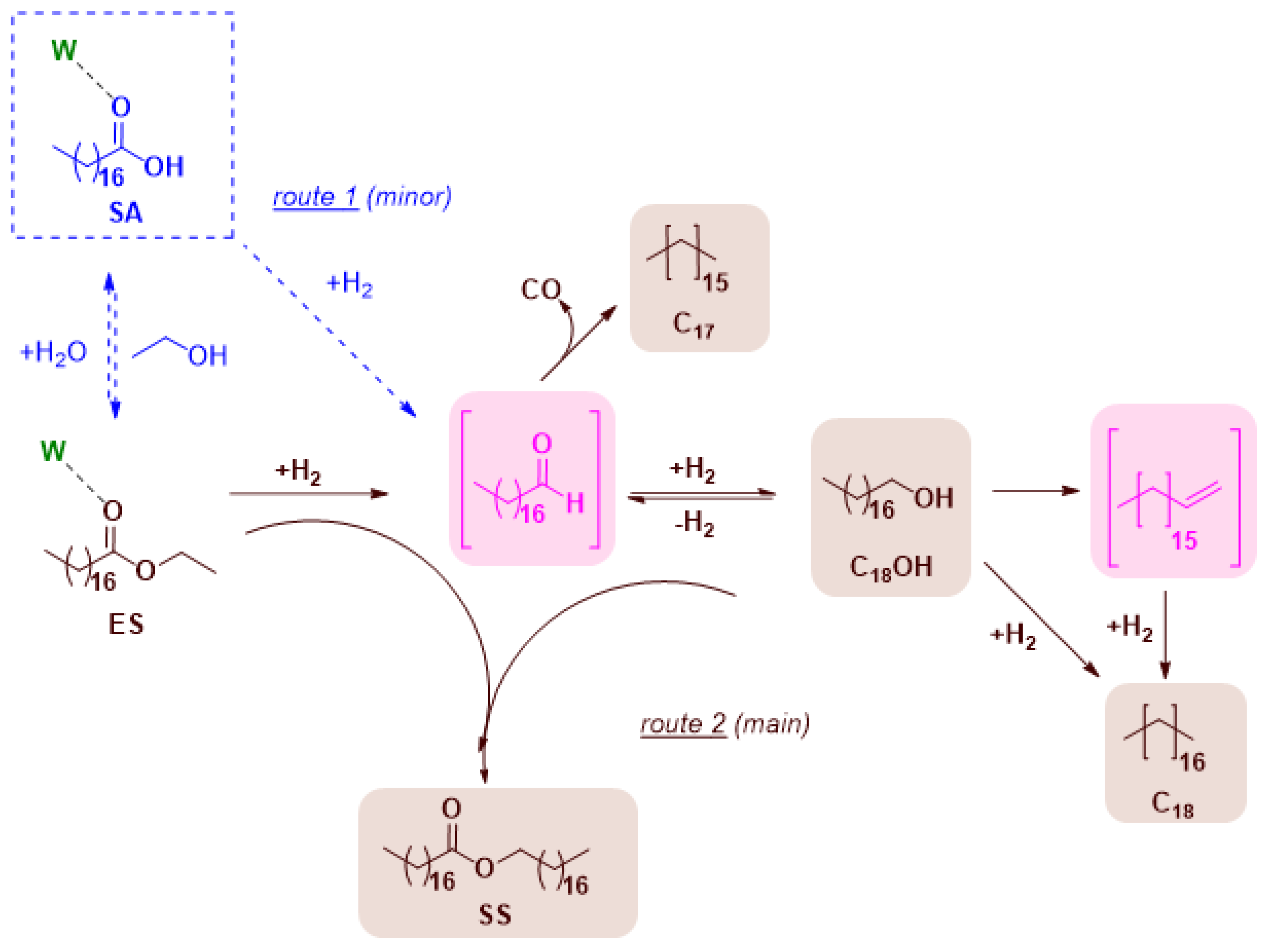 Catalysts 13 01362 sch002