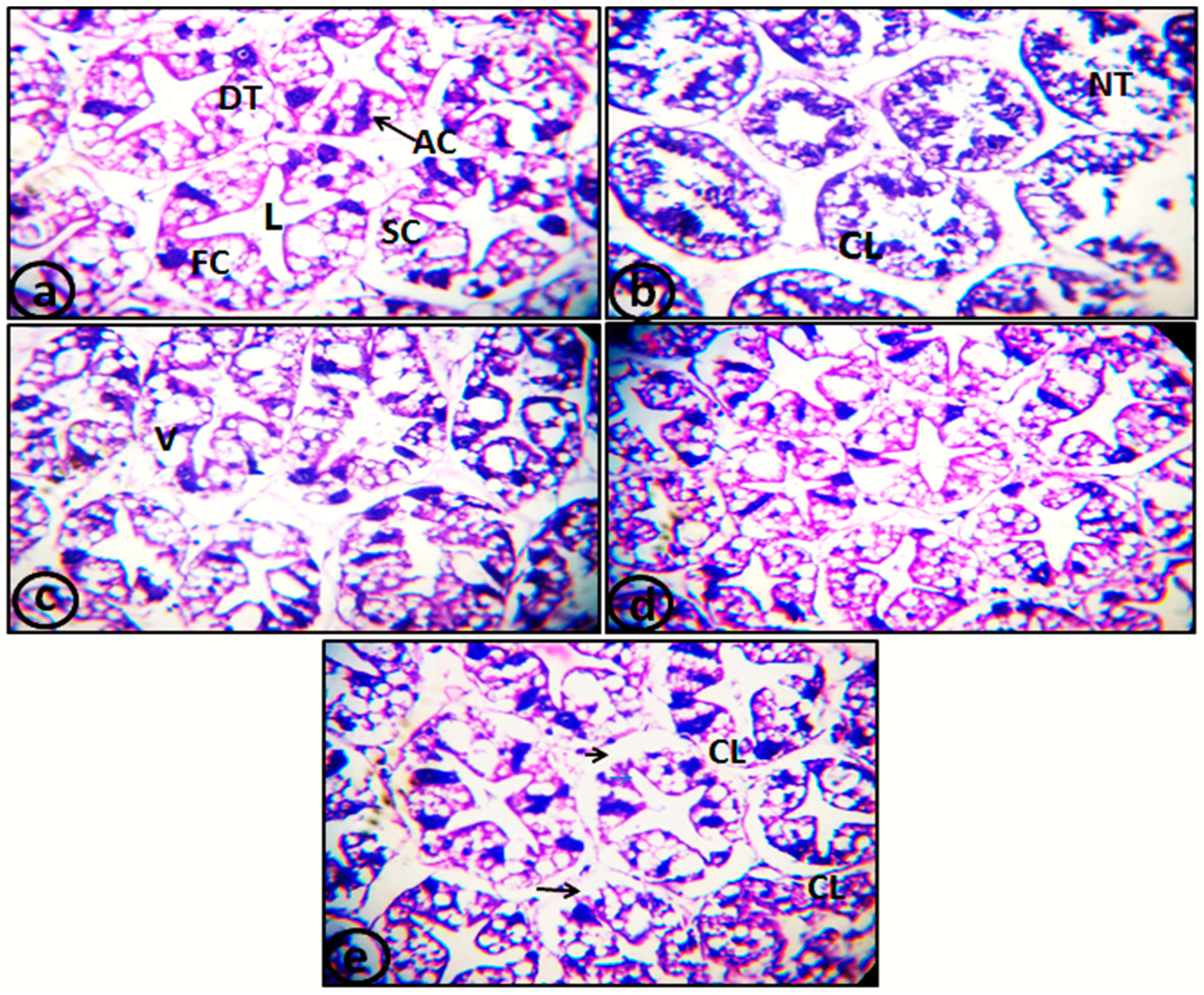 Catalysts 13 01389 g001 Catalysts 13 01389 g001