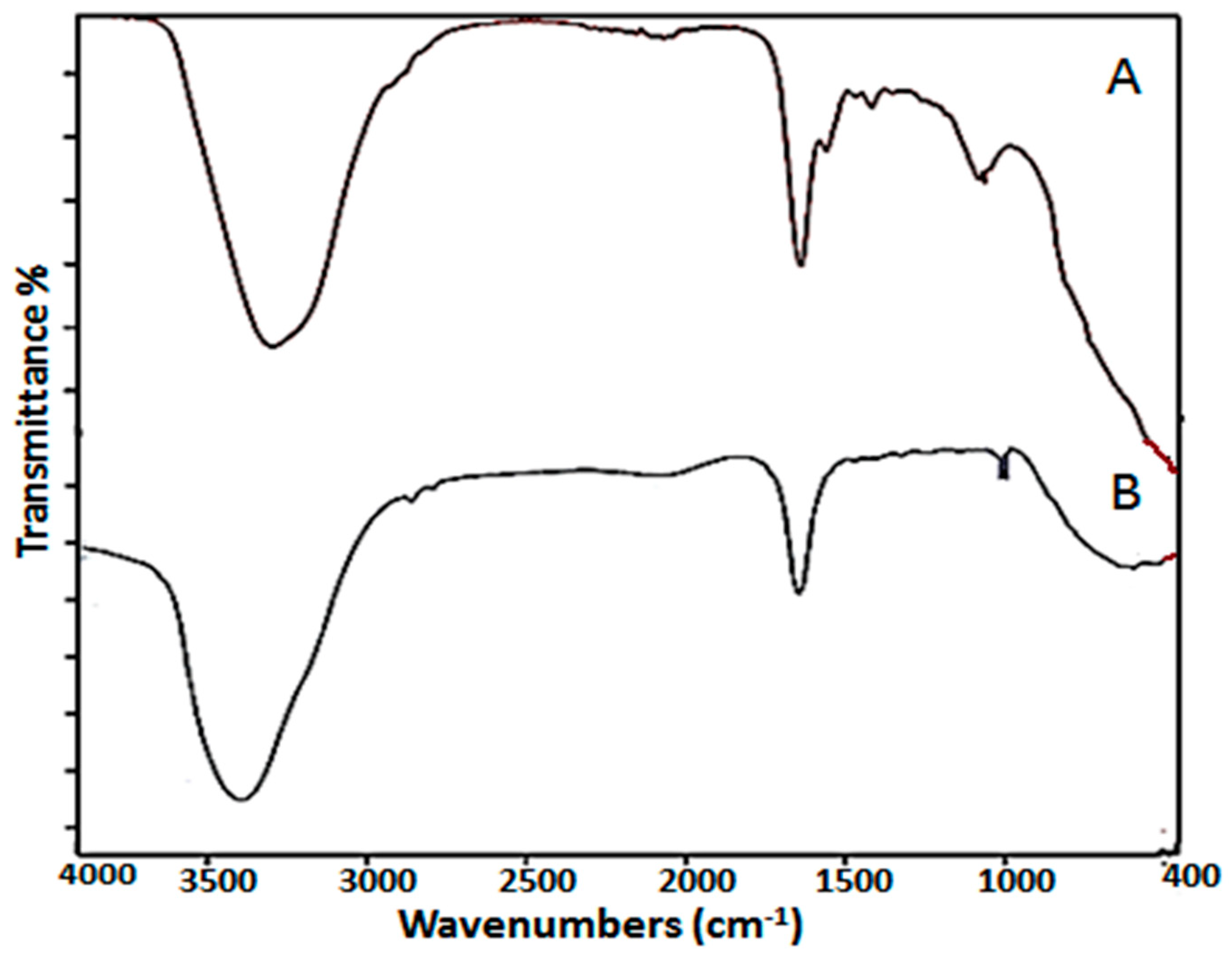 Catalysts 13 01389 g003 Catalysts 13 01389 g003