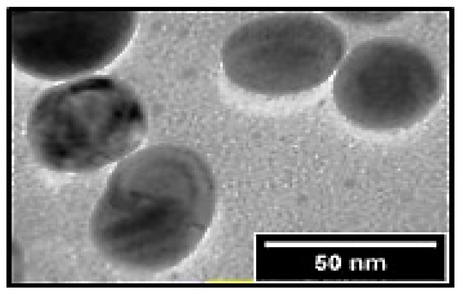 Catalysts 13 01389 g006 Catalysts 13 01389 g006