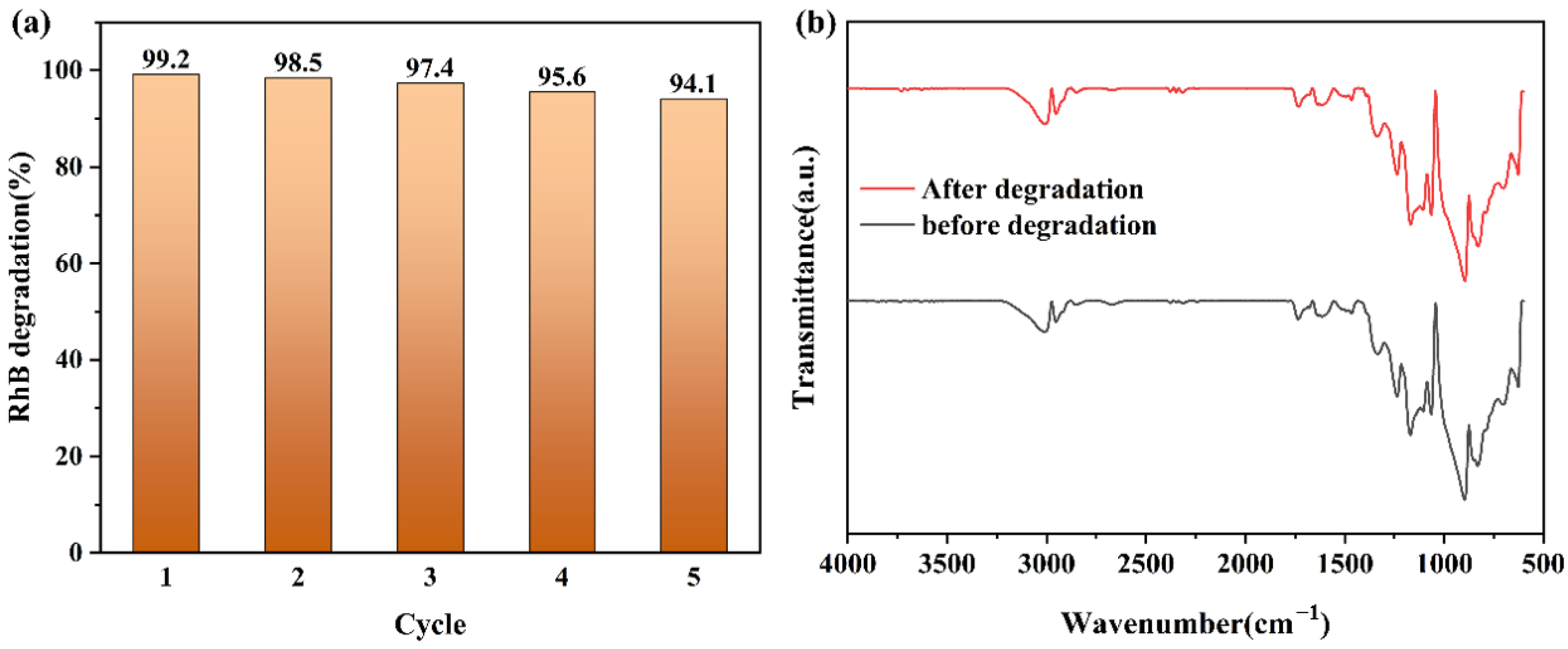 Catalysts 13 01391 g017