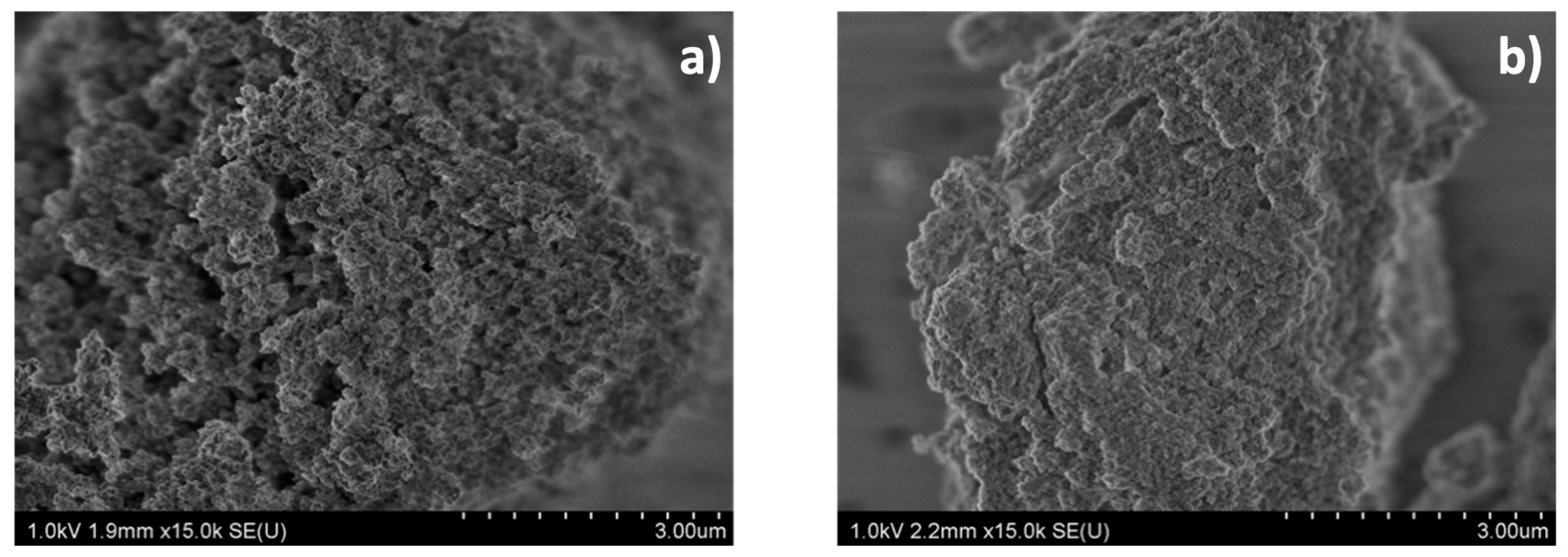 Catalysts 13 01393 g003
