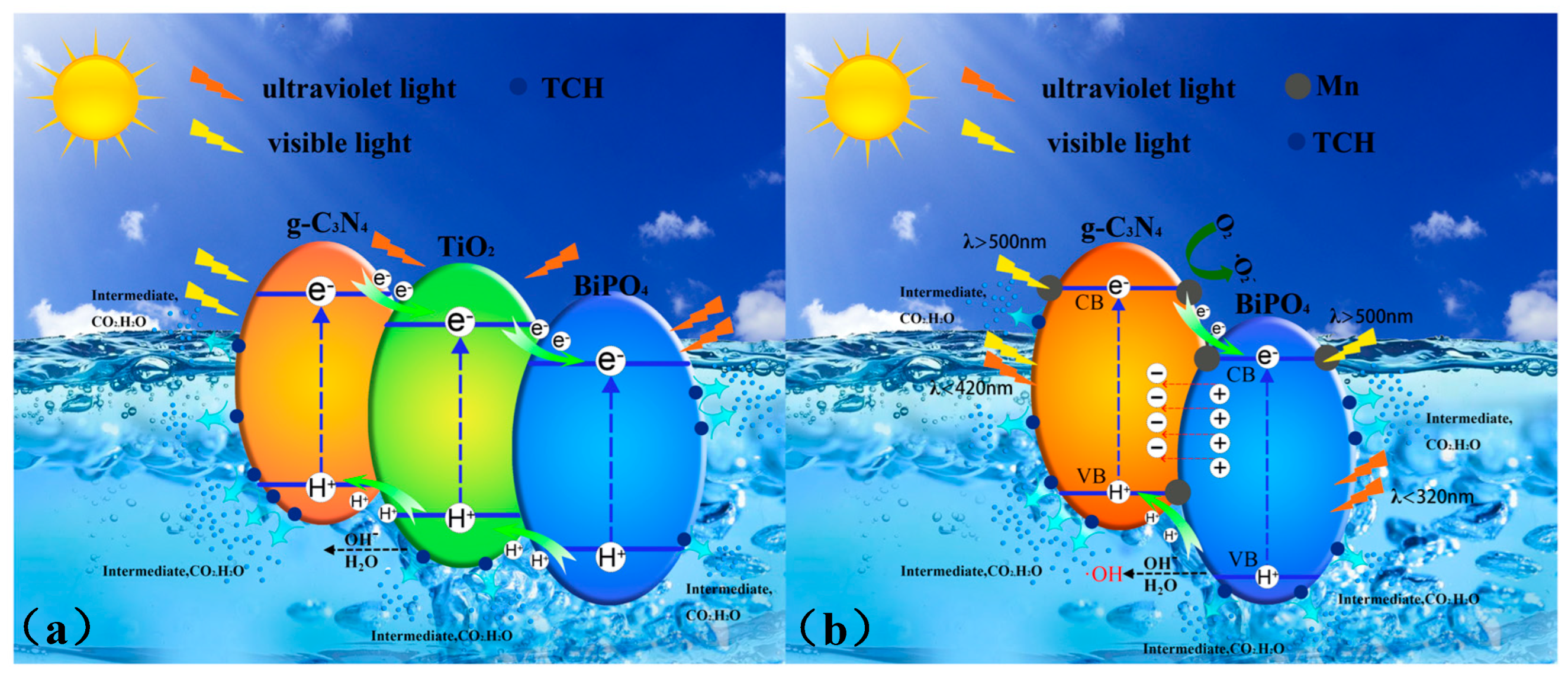 Catalysts 13 01398 g010