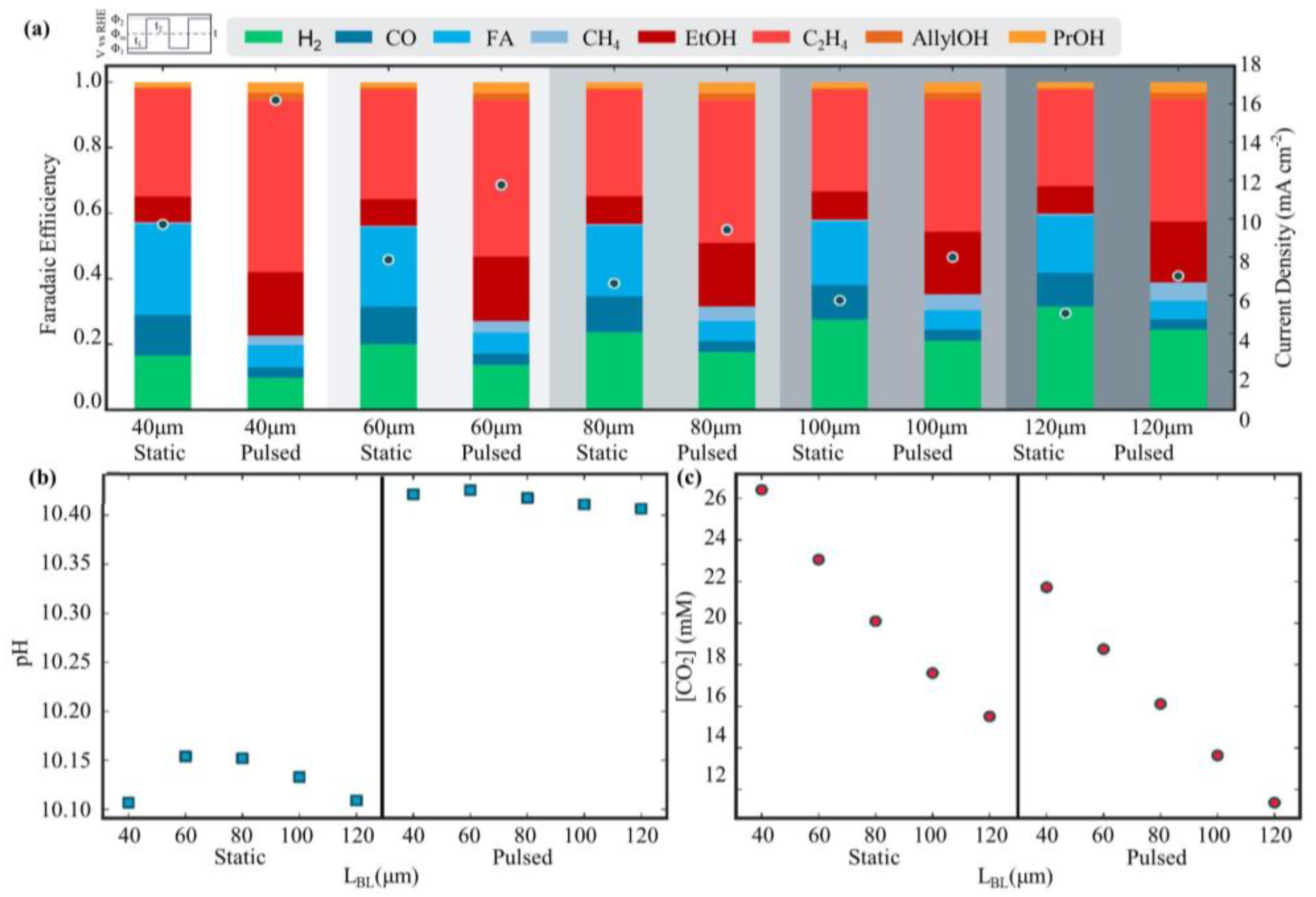 Catalysts 13 01410 g006