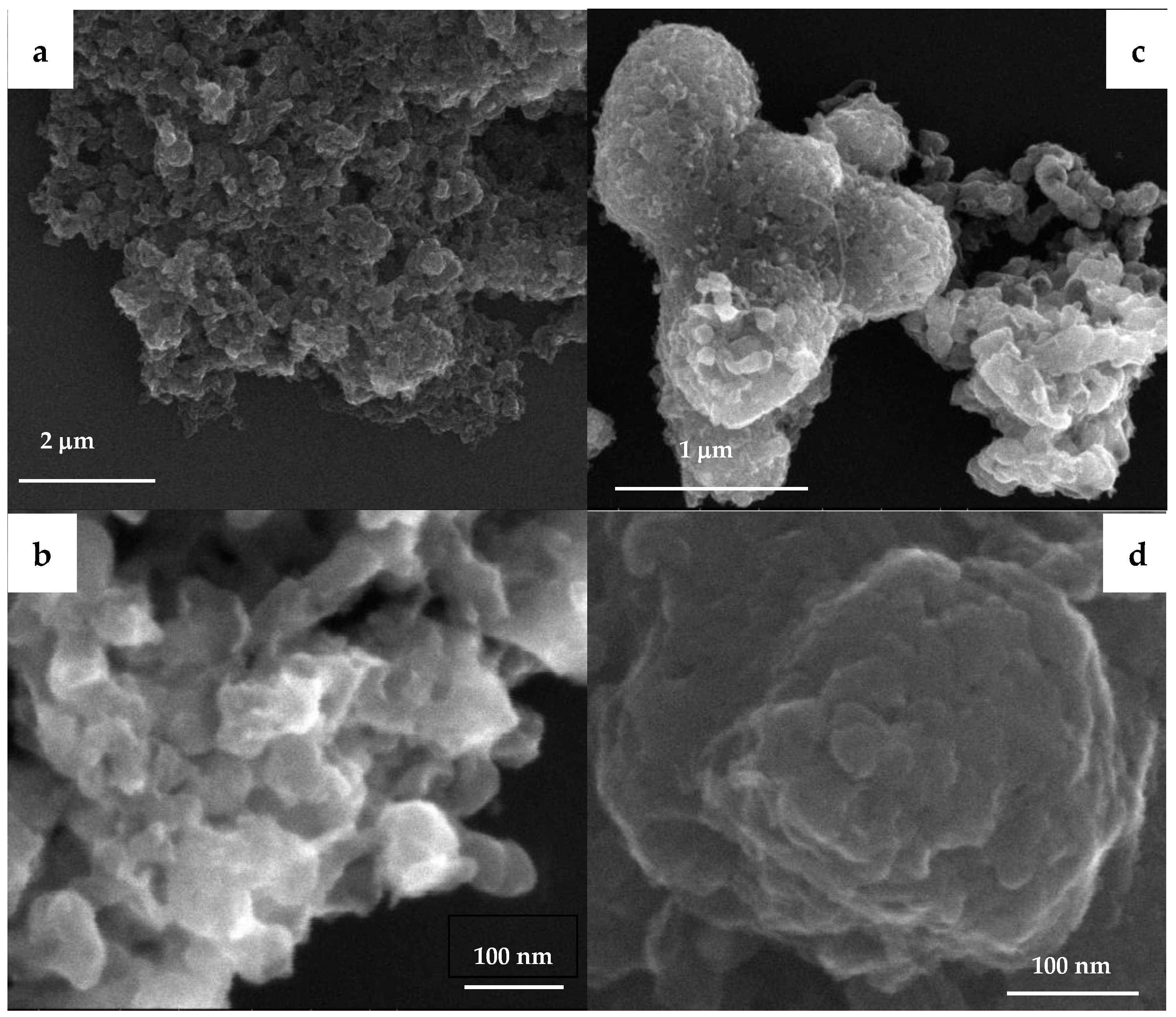 Catalysts 13 01416 g002